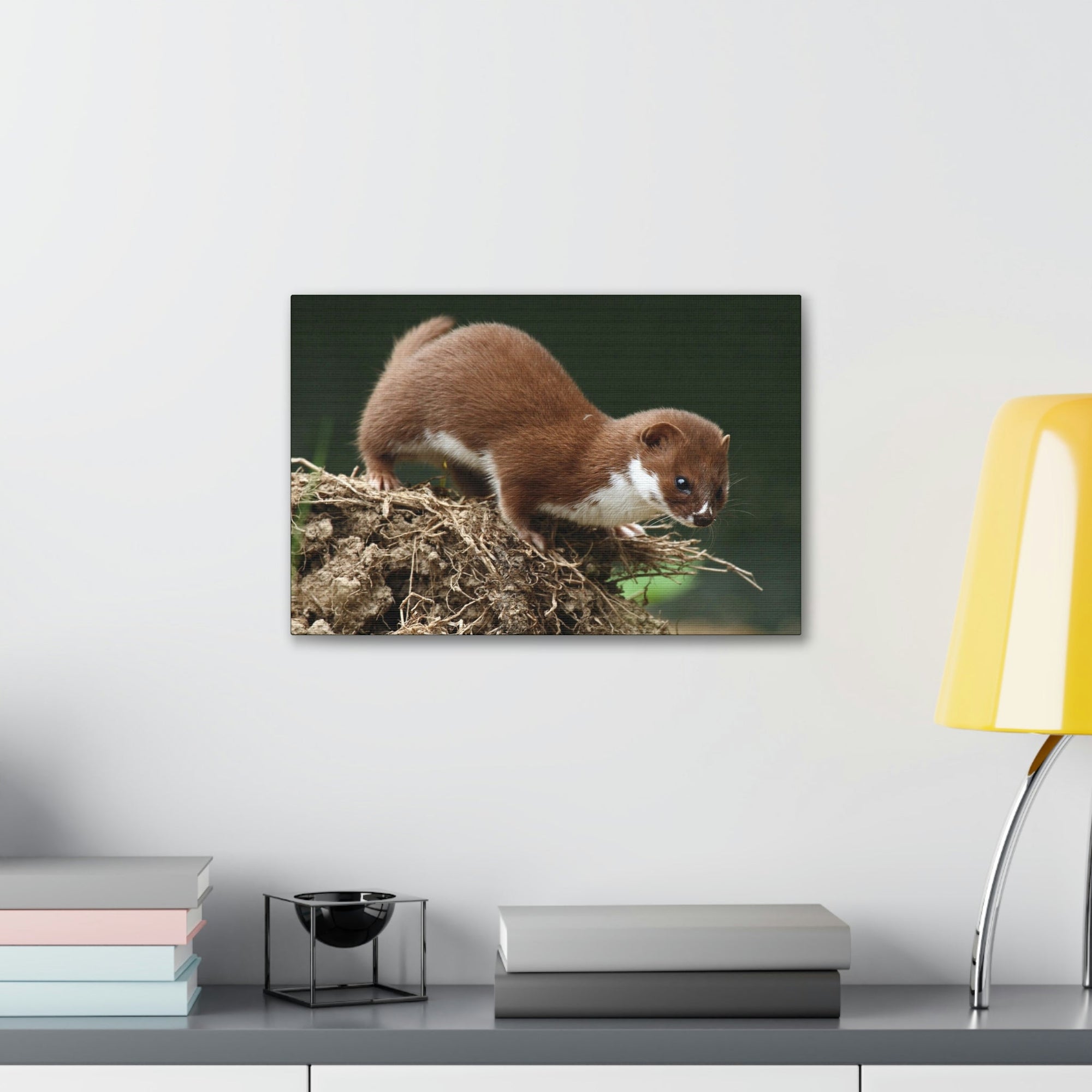 Scripture Walls Weasel Hunting Weasel on Hunt Print Animal Wall Art Wildlife Canvas Prints Wall Art Ready to Hang Unframed-Express Your Love Gifts