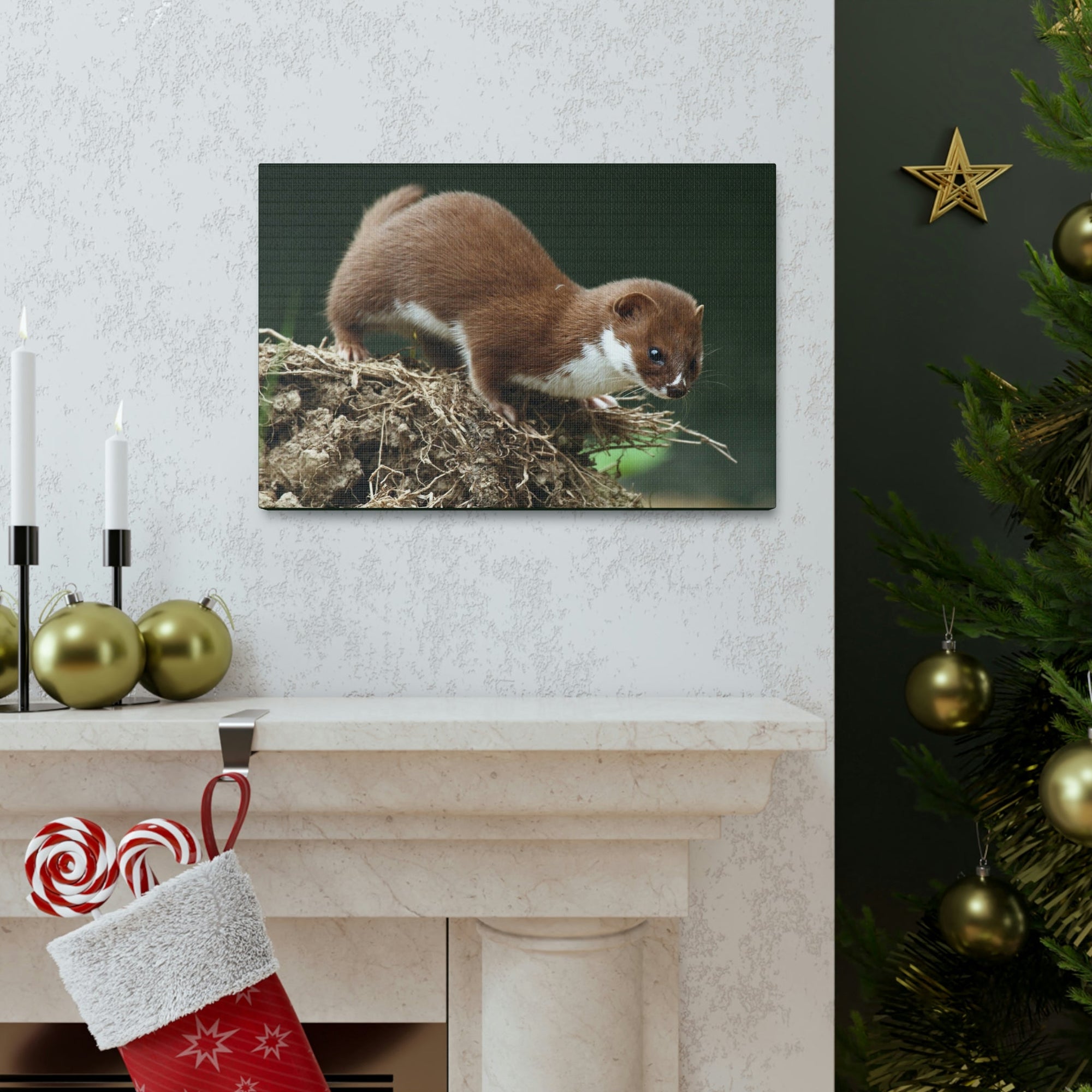 Scripture Walls Weasel Hunting Weasel on Hunt Print Animal Wall Art Wildlife Canvas Prints Wall Art Ready to Hang Unframed-Express Your Love Gifts