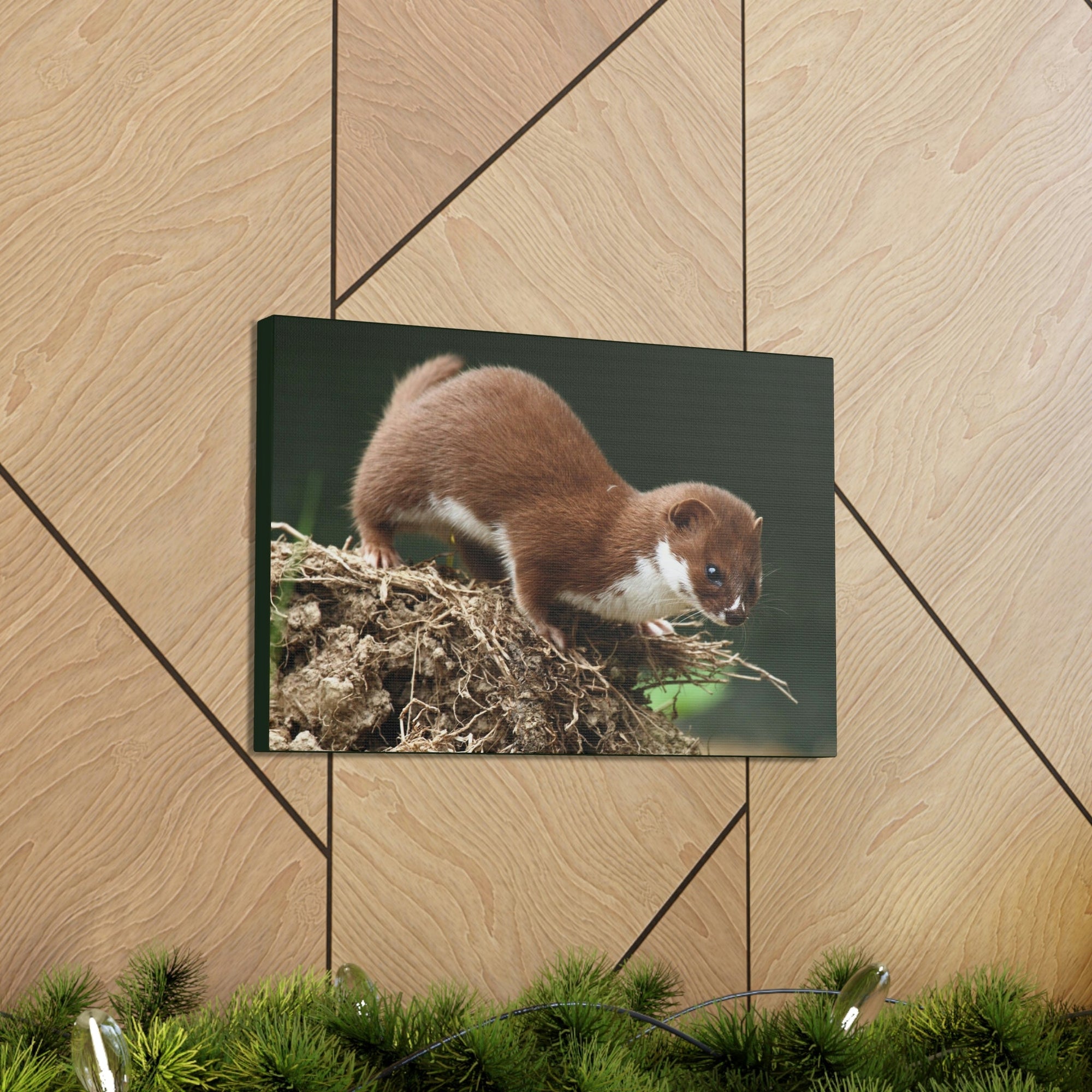 Scripture Walls Weasel Hunting Weasel on Hunt Print Animal Wall Art Wildlife Canvas Prints Wall Art Ready to Hang Unframed-Express Your Love Gifts