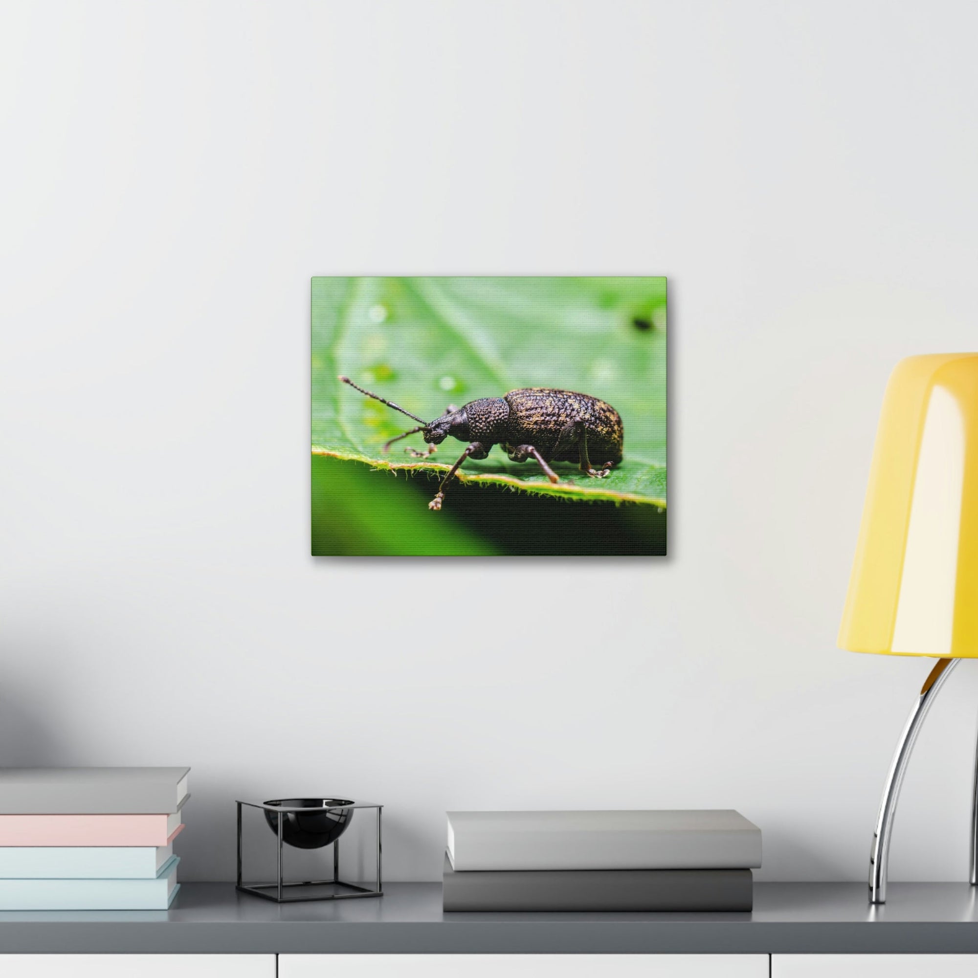 Scripture Walls Weevil Hunting Weevil on Hunt Print Animal Wall Art Wildlife Canvas Prints Wall Art Ready to Hang Unframed-Express Your Love Gifts