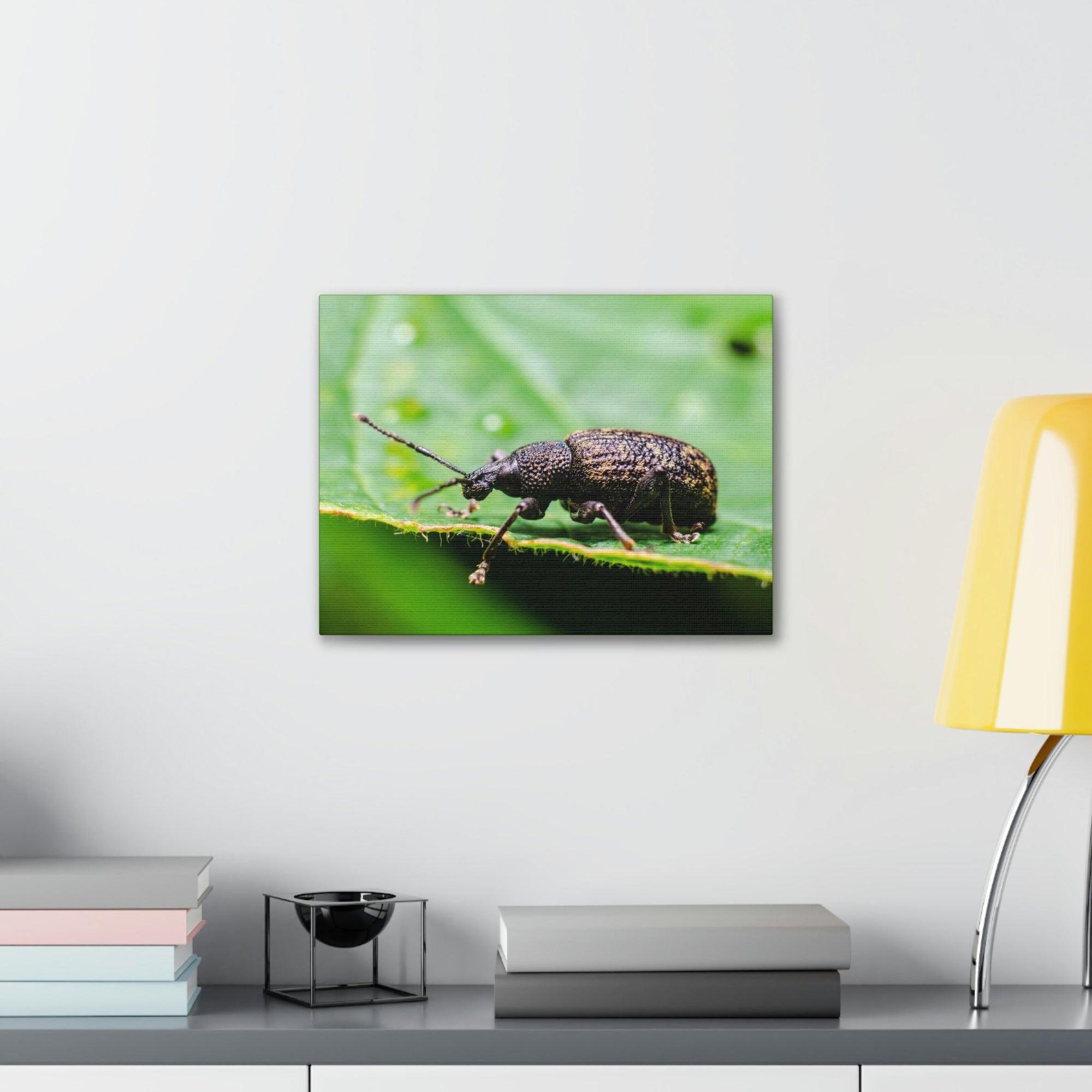 Scripture Walls Weevil Hunting Weevil on Hunt Print Animal Wall Art Wildlife Canvas Prints Wall Art Ready to Hang Unframed-Express Your Love Gifts