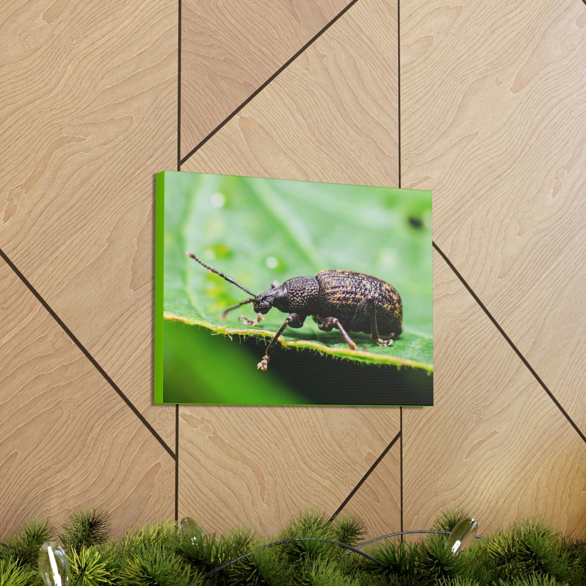 Scripture Walls Weevil Hunting Weevil on Hunt Print Animal Wall Art Wildlife Canvas Prints Wall Art Ready to Hang Unframed-Express Your Love Gifts