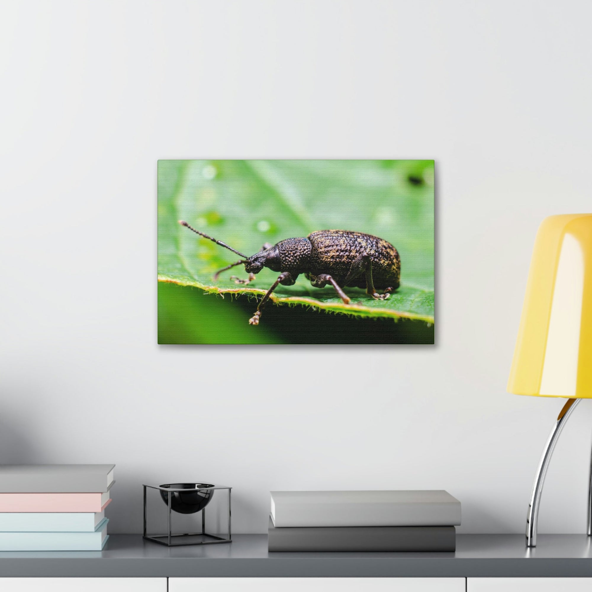 Scripture Walls Weevil Hunting Weevil on Hunt Print Animal Wall Art Wildlife Canvas Prints Wall Art Ready to Hang Unframed-Express Your Love Gifts