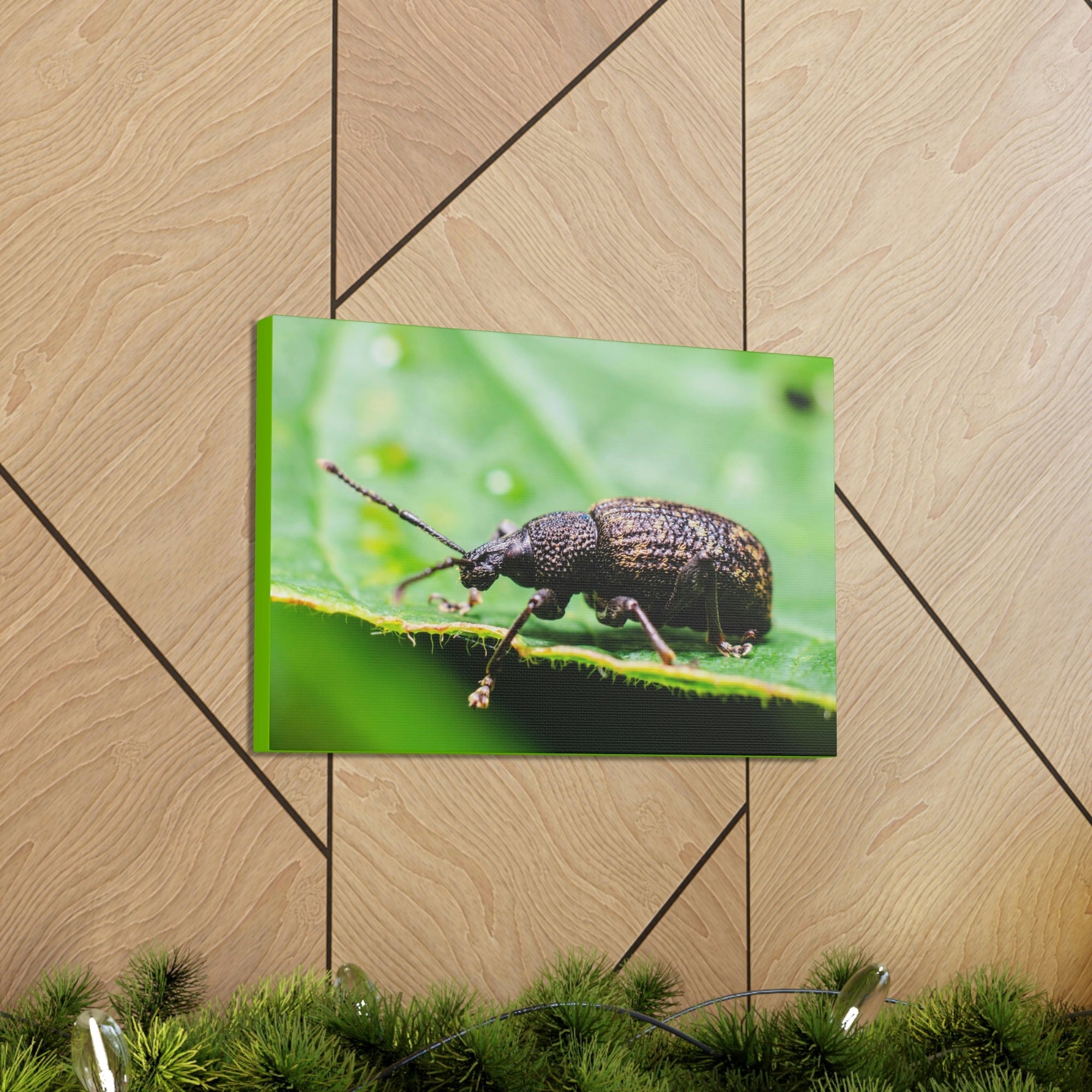 Scripture Walls Weevil Hunting Weevil on Hunt Print Animal Wall Art Wildlife Canvas Prints Wall Art Ready to Hang Unframed-Express Your Love Gifts