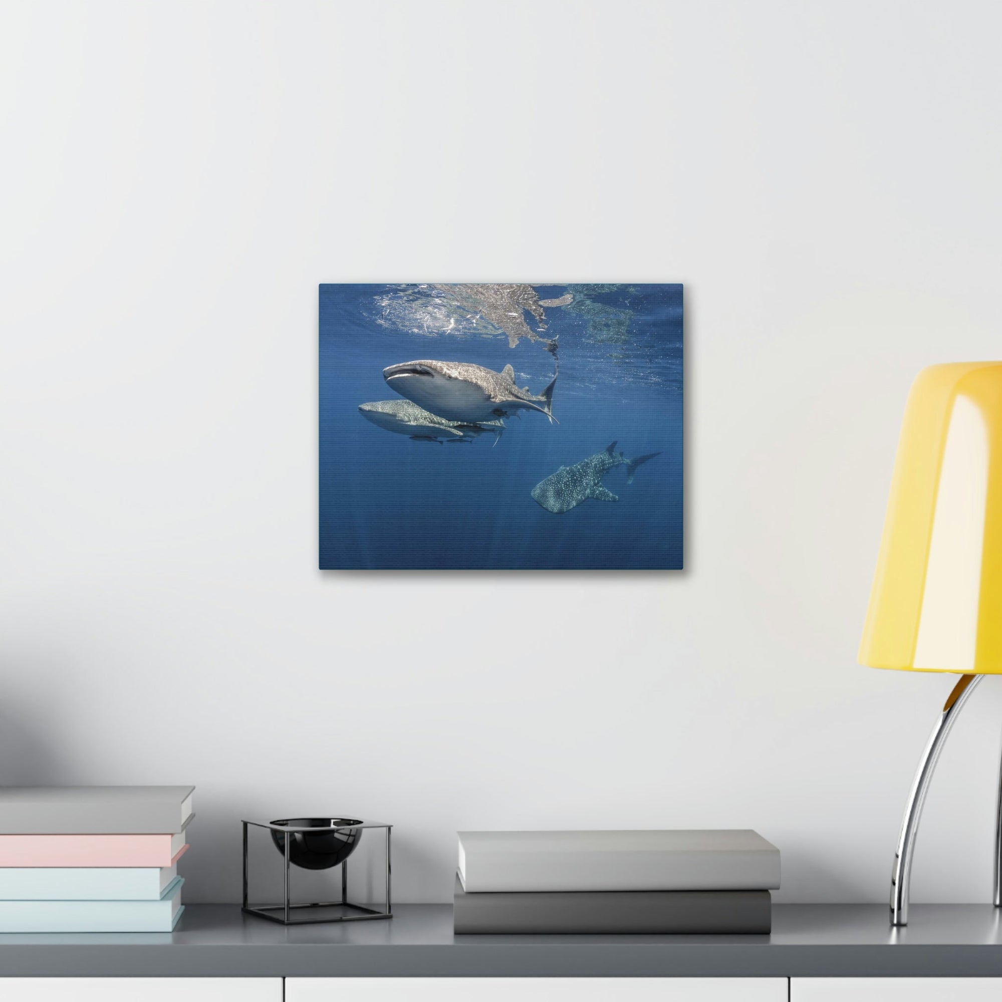 Scripture Walls Whale Shark Group Whale Shark Troop Print Animal Wall Art Wildlife Canvas Prints Wall Art Ready to Hang Unframed-Express Your Love Gifts