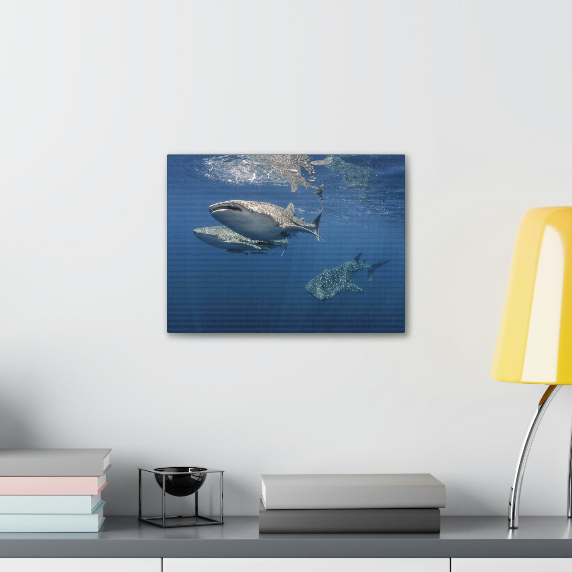 Scripture Walls Whale Shark Group Whale Shark Troop Print Animal Wall Art Wildlife Canvas Prints Wall Art Ready to Hang Unframed-Express Your Love Gifts