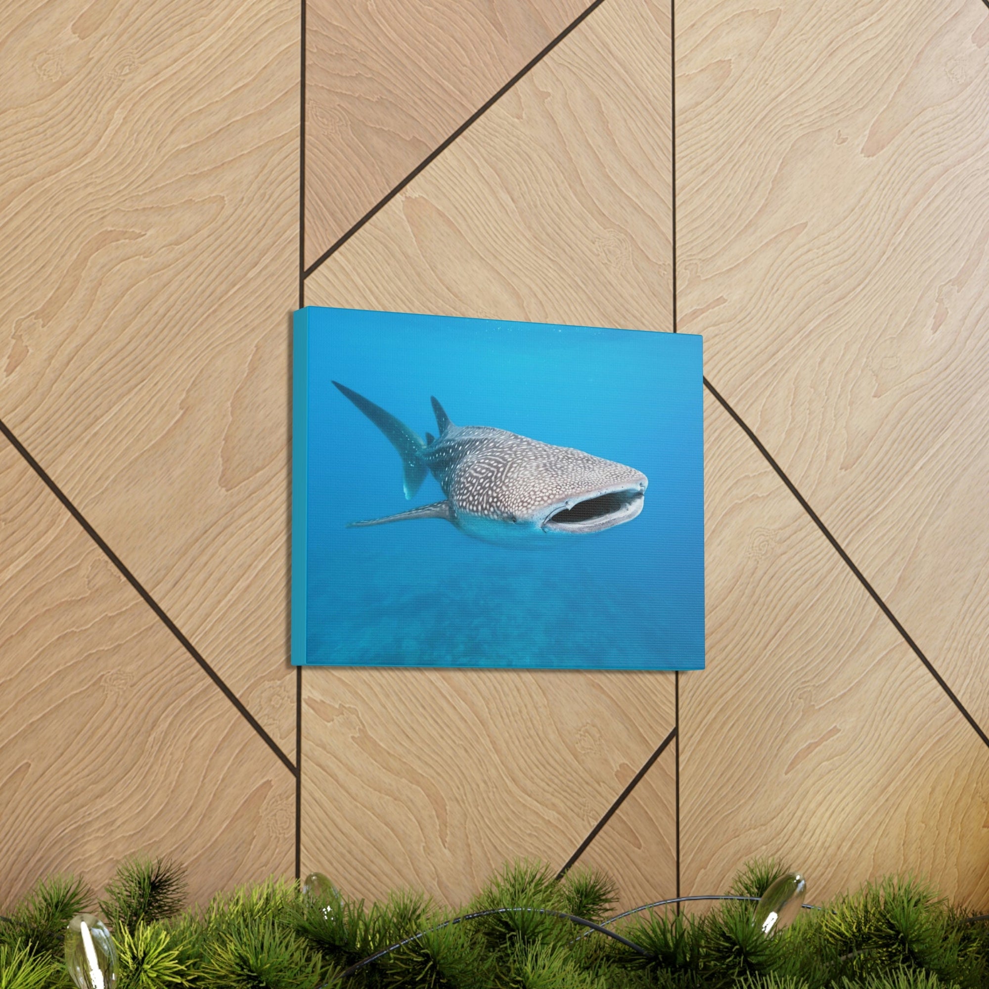 Scripture Walls Whale Shark Hunting Whale Shark on Hunt Print Animal Wall Art Wildlife Canvas Prints Wall Art Ready to Hang Unframed-Express Your Love Gifts