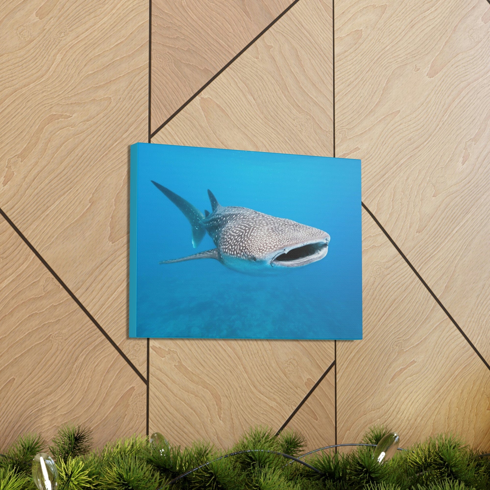 Scripture Walls Whale Shark Hunting Whale Shark on Hunt Print Animal Wall Art Wildlife Canvas Prints Wall Art Ready to Hang Unframed-Express Your Love Gifts