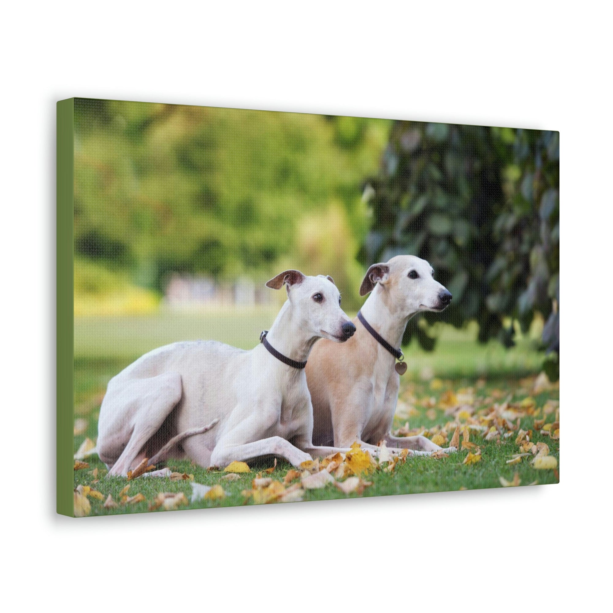 Scripture Walls Whippet Couple Whippet Couple Print Animal Wall Art Wildlife Canvas Prints Wall Art Ready to Hang Unframed-Express Your Love Gifts