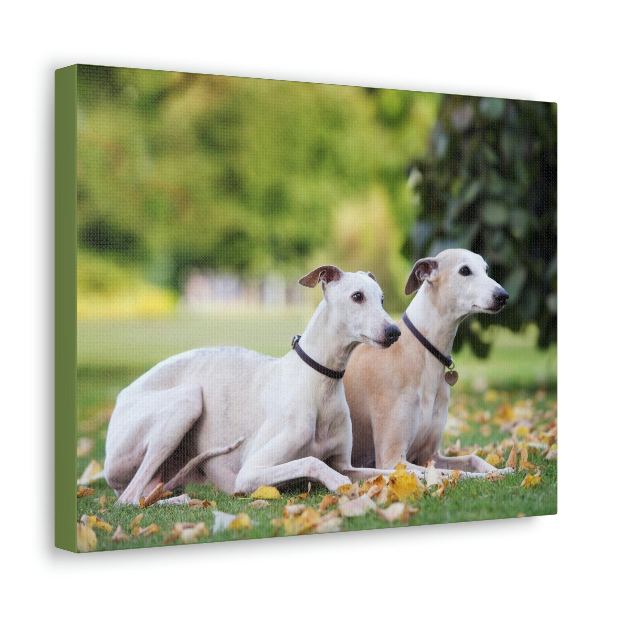 Scripture Walls Whippet Couple Whippet Couple Print Animal Wall Art Wildlife Canvas Prints Wall Art Ready to Hang Unframed-Express Your Love Gifts