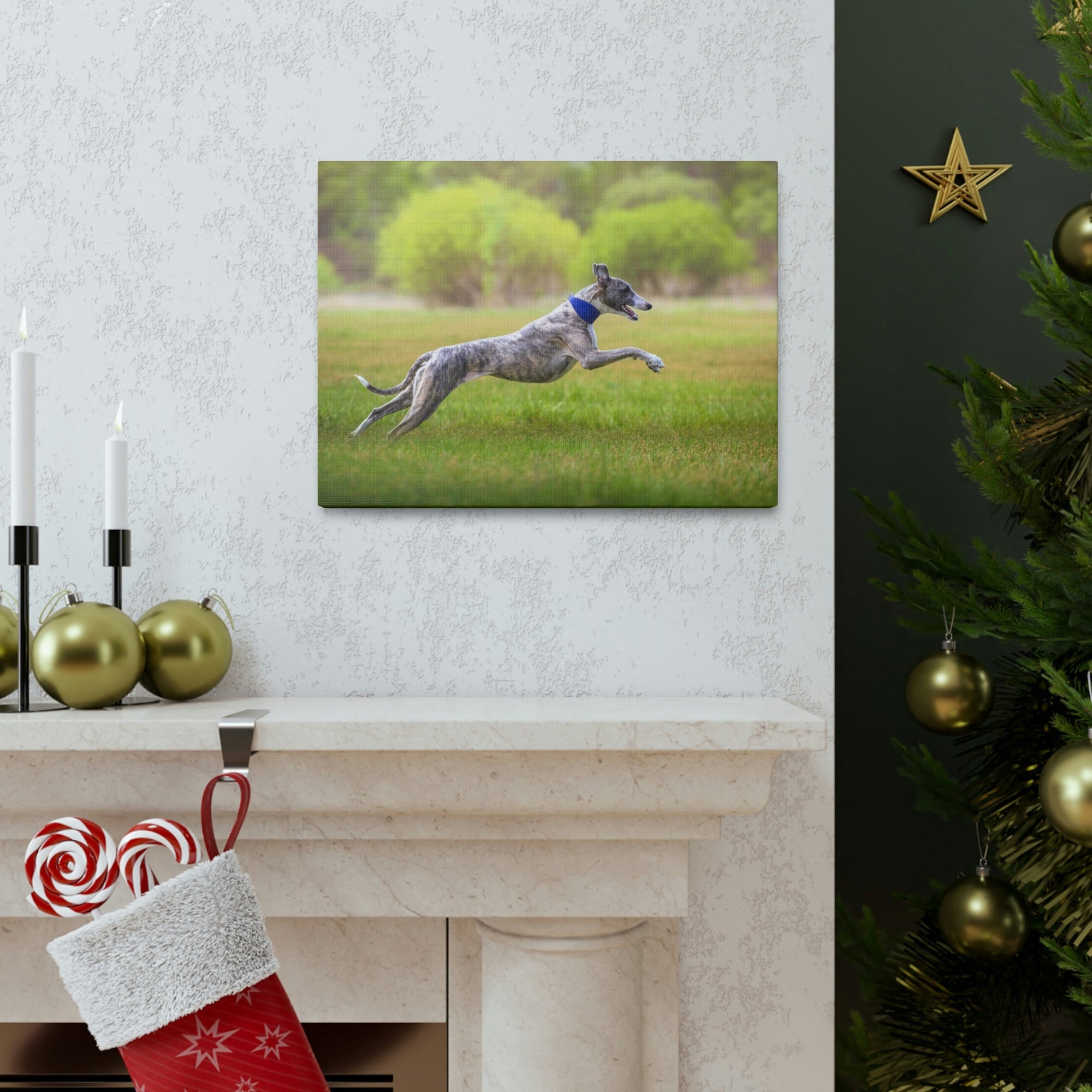 Scripture Walls Whippet Hunting Whippet on Hunt Print Animal Wall Art Wildlife Canvas Prints Wall Art Ready to Hang Unframed-Express Your Love Gifts