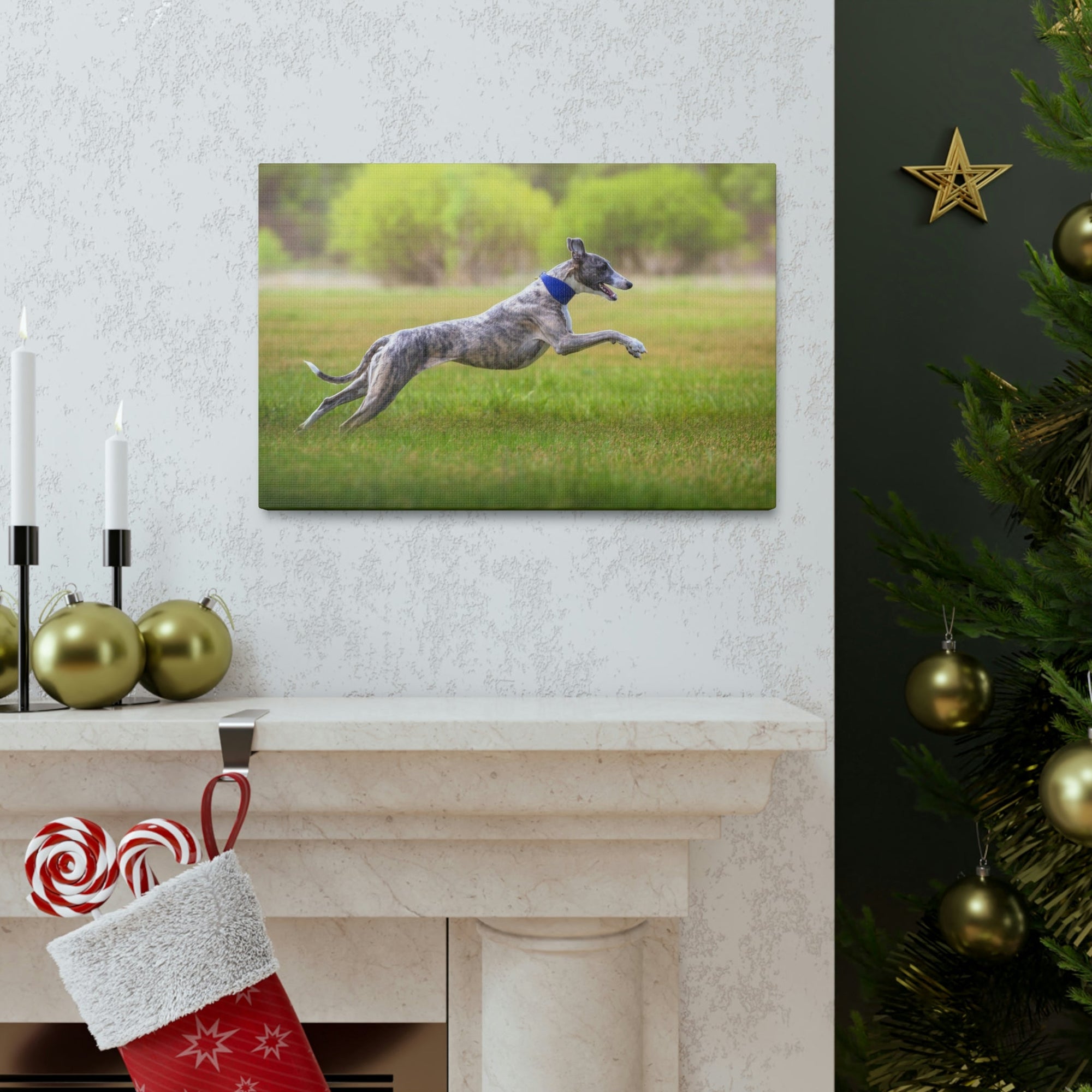 Scripture Walls Whippet Hunting Whippet on Hunt Print Animal Wall Art Wildlife Canvas Prints Wall Art Ready to Hang Unframed-Express Your Love Gifts