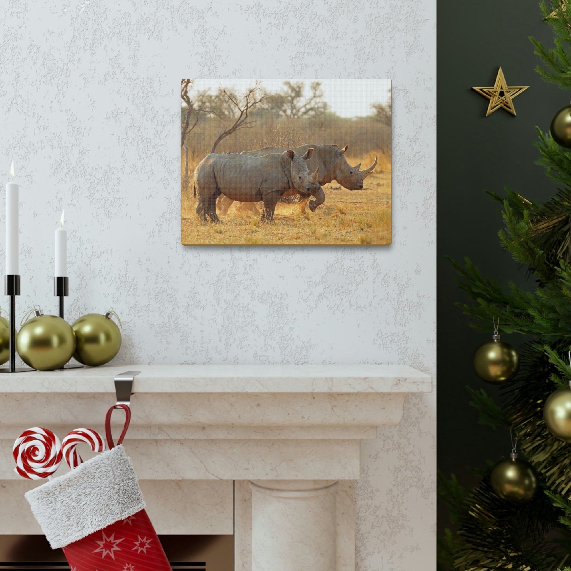 Scripture Walls White Rhino Couple White Rhino Couple Print Animal Wall Art Wildlife Canvas Prints Wall Art Ready to Hang Unframed-Express Your Love Gifts