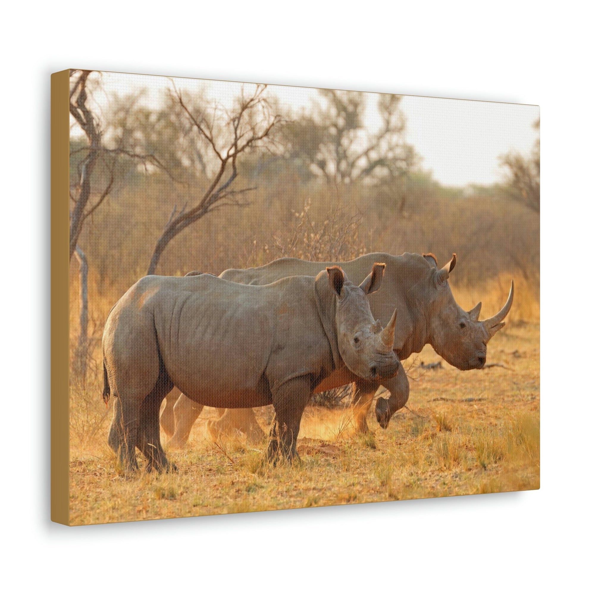 Scripture Walls White Rhino Couple White Rhino Couple Print Animal Wall Art Wildlife Canvas Prints Wall Art Ready to Hang Unframed-Express Your Love Gifts