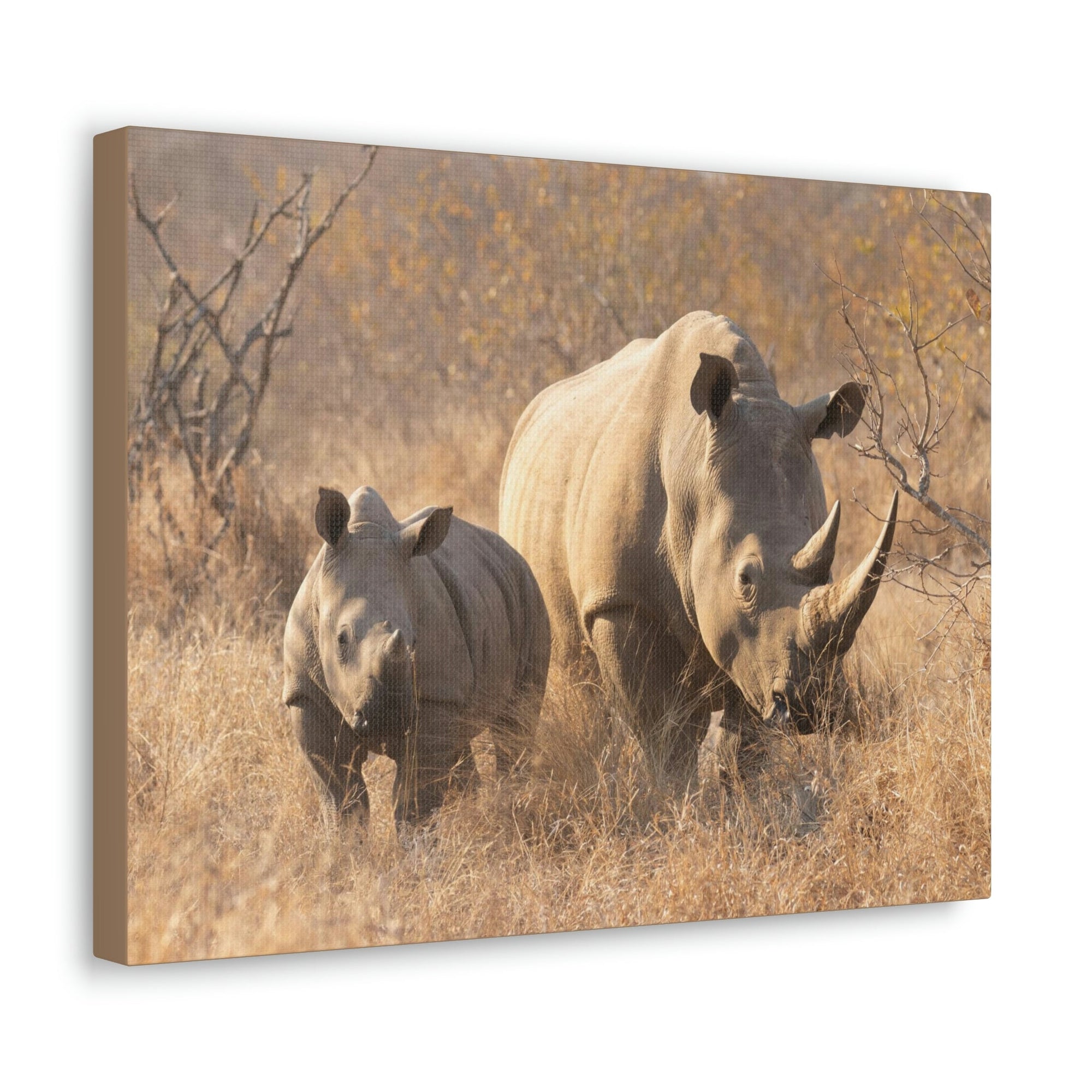 Scripture Walls White Rhino Hunting White Rhino on Hunt Print Animal Wall Art Wildlife Canvas Prints Wall Art Ready to Hang Unframed-Express Your Love Gifts