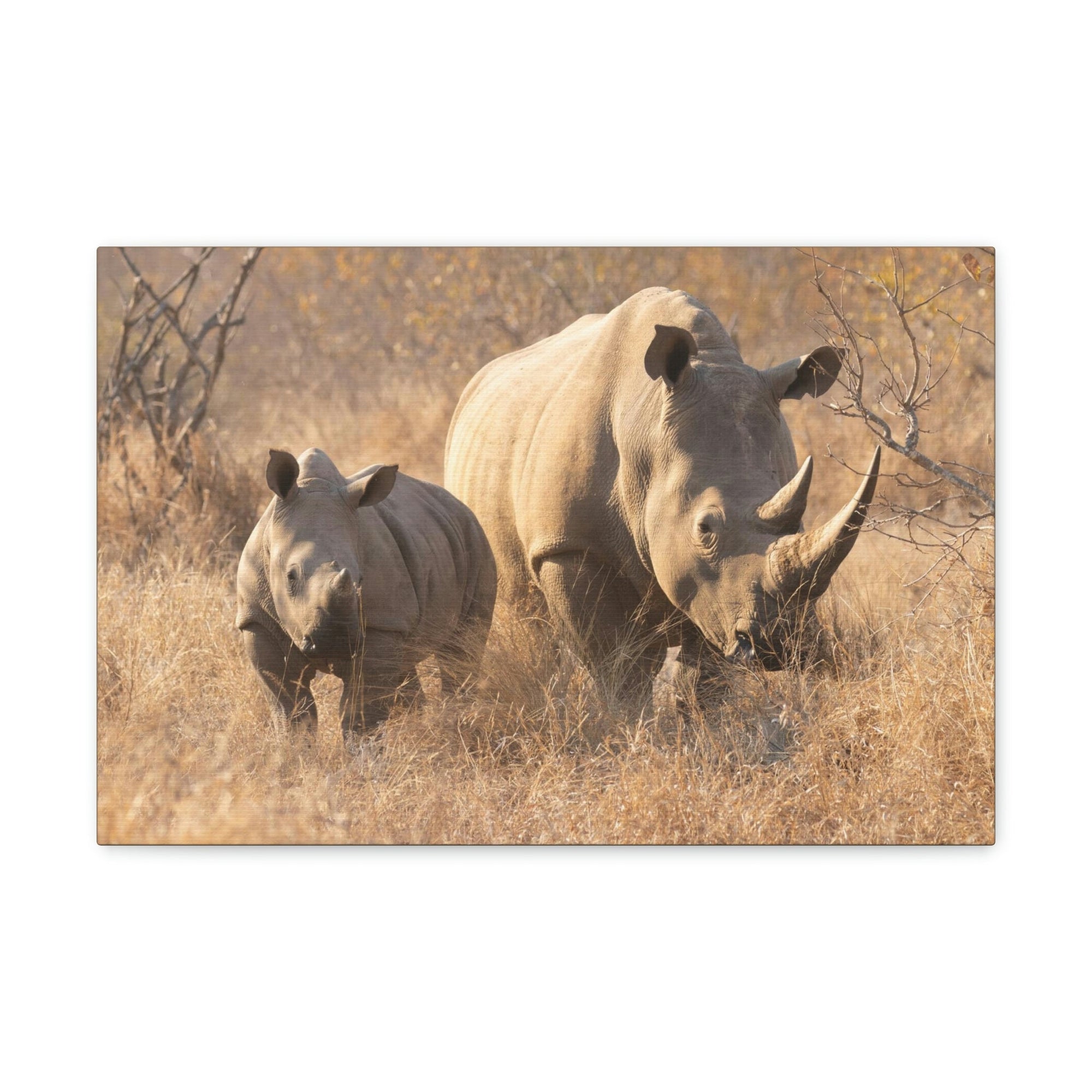 Scripture Walls White Rhino Hunting White Rhino on Hunt Print Animal Wall Art Wildlife Canvas Prints Wall Art Ready to Hang Unframed-Express Your Love Gifts