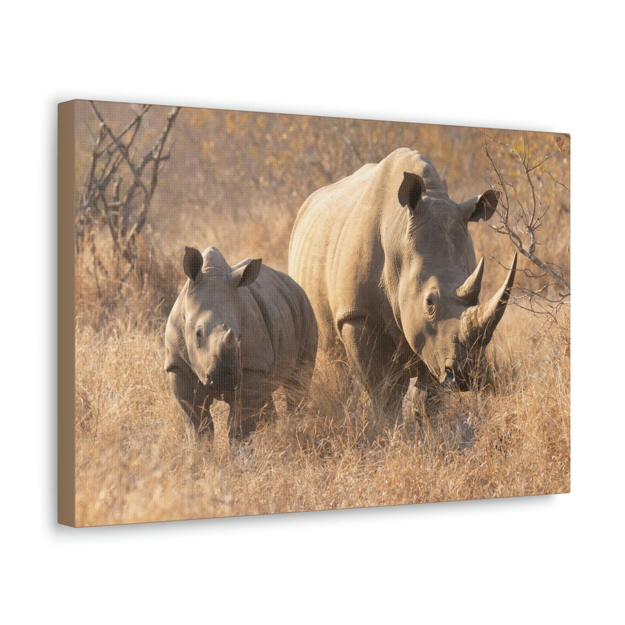 Scripture Walls White Rhino Hunting White Rhino on Hunt Print Animal Wall Art Wildlife Canvas Prints Wall Art Ready to Hang Unframed-Express Your Love Gifts