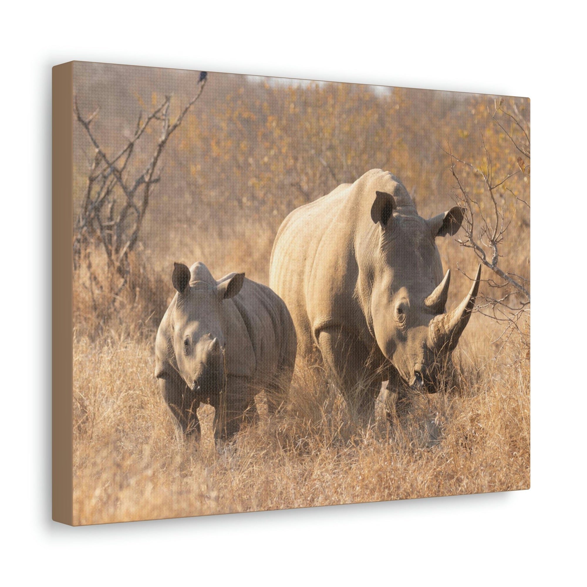 Scripture Walls White Rhino Hunting White Rhino on Hunt Print Animal Wall Art Wildlife Canvas Prints Wall Art Ready to Hang Unframed-Express Your Love Gifts