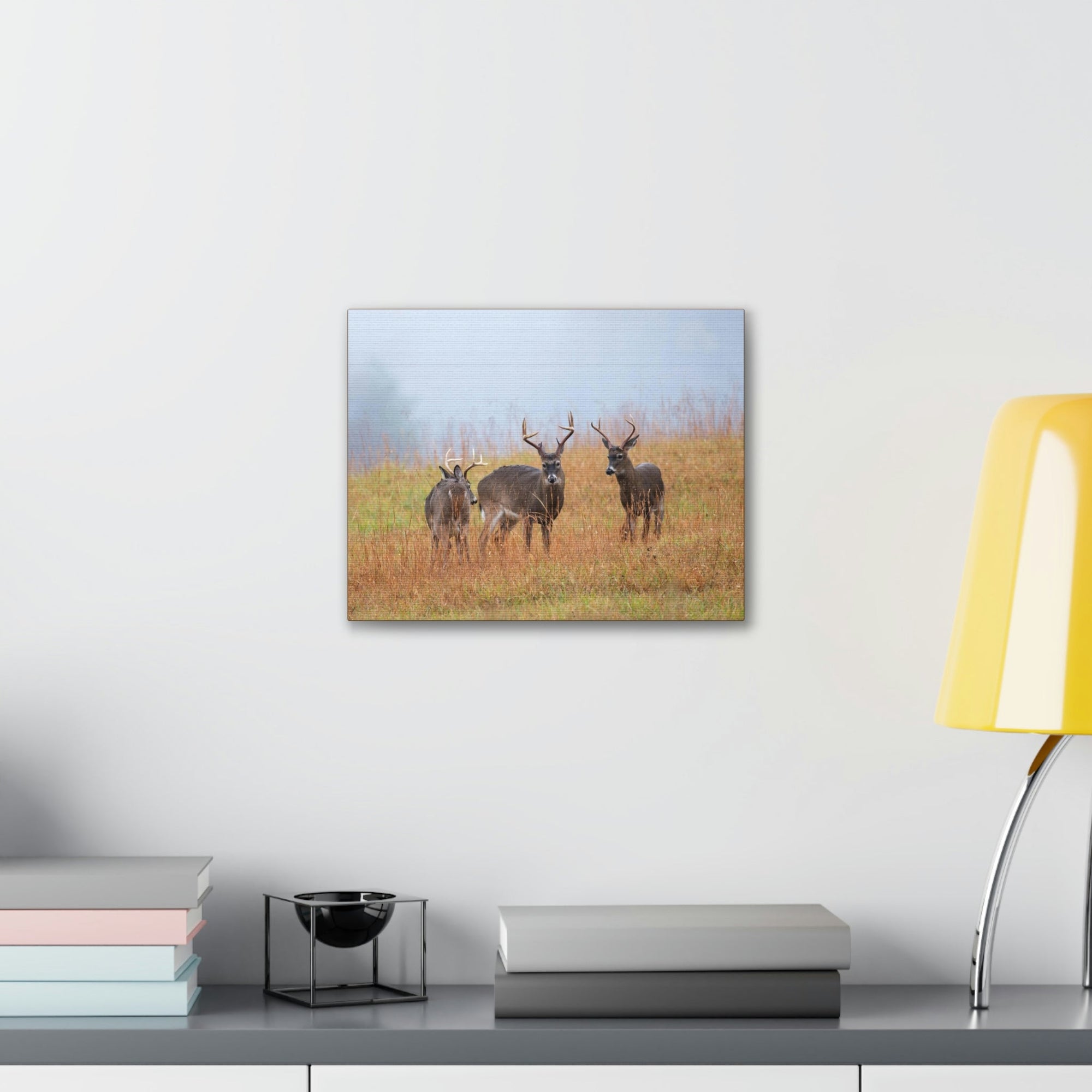 Scripture Walls White Tailed Deer Group White Tailed Deer Troop Print Animal Wall Art Wildlife Canvas Prints Wall Art Ready to Hang Unframed-Express Your Love Gifts