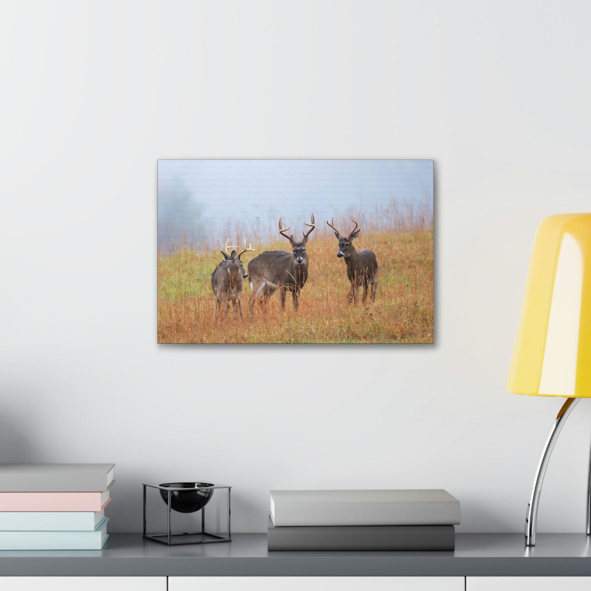 Scripture Walls White Tailed Deer Group White Tailed Deer Troop Print Animal Wall Art Wildlife Canvas Prints Wall Art Ready to Hang Unframed-Express Your Love Gifts