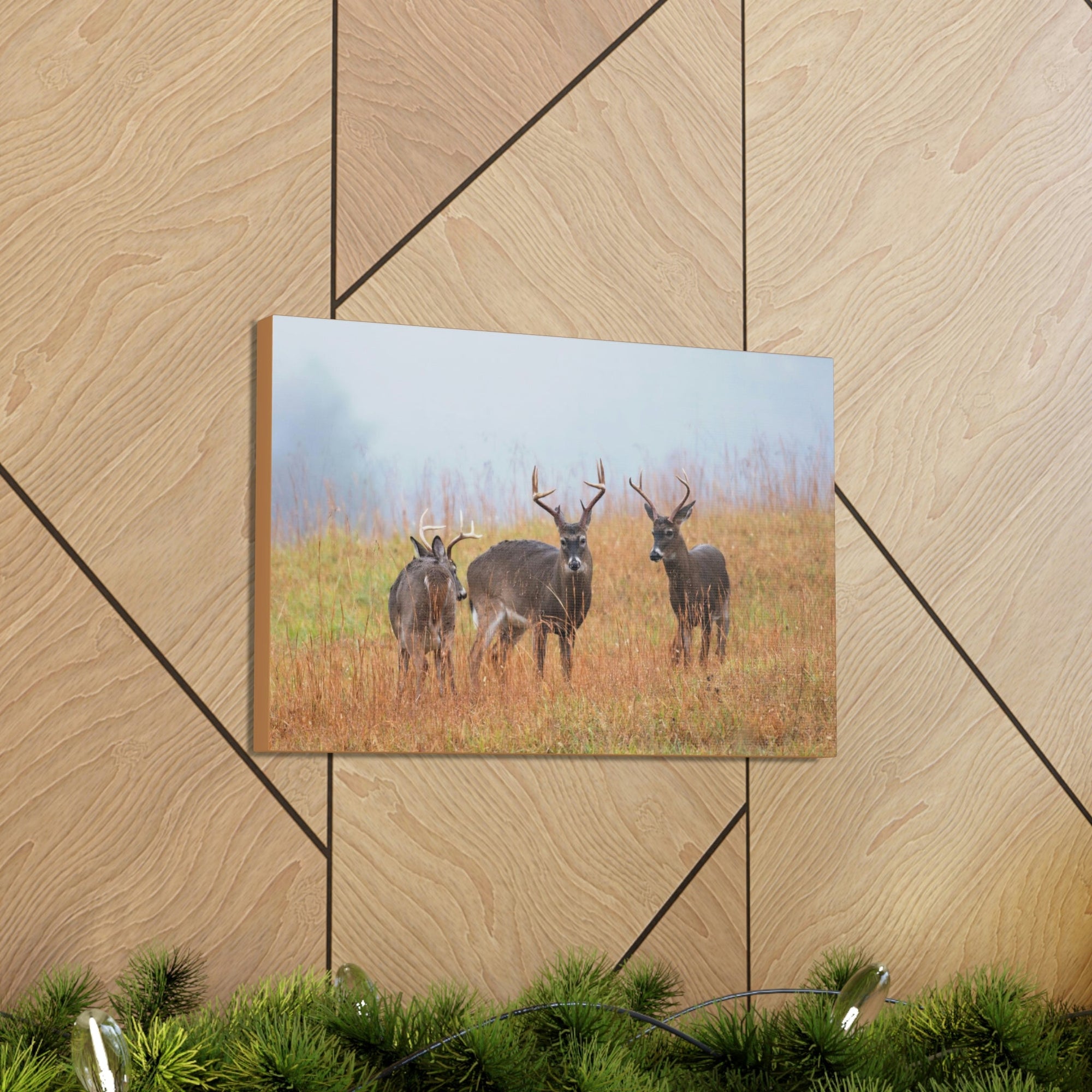 Scripture Walls White Tailed Deer Group White Tailed Deer Troop Print Animal Wall Art Wildlife Canvas Prints Wall Art Ready to Hang Unframed-Express Your Love Gifts