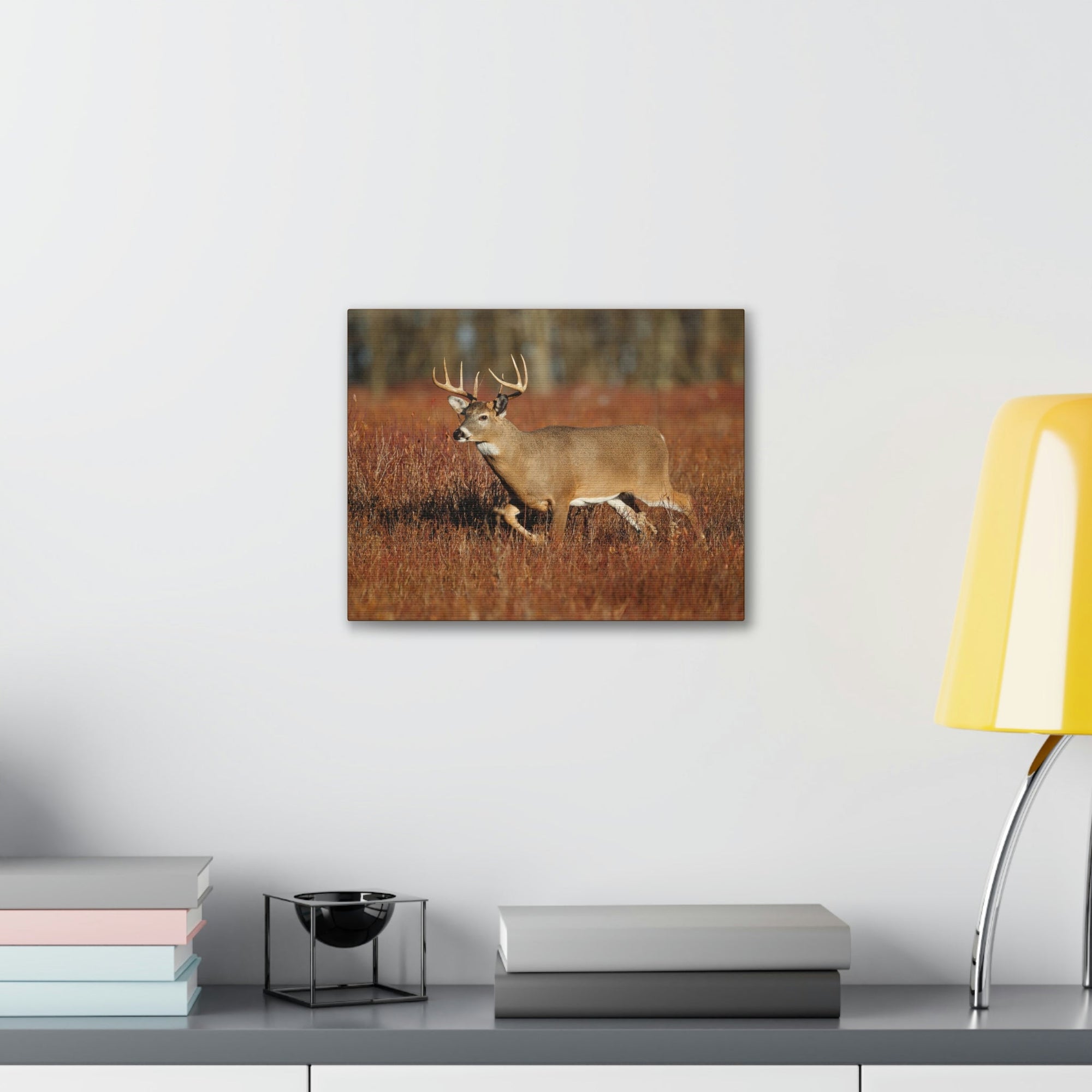 Scripture Walls White Tailed Deer Hunting White Tailed Deer on Hunt Print Animal Wall Art Wildlife Canvas Prints Wall Art Ready to Hang Unframed-Express Your Love Gifts