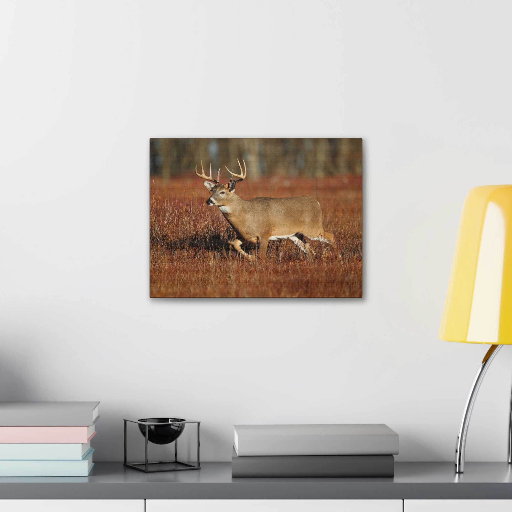 Scripture Walls White Tailed Deer Hunting White Tailed Deer on Hunt Print Animal Wall Art Wildlife Canvas Prints Wall Art Ready to Hang Unframed-Express Your Love Gifts