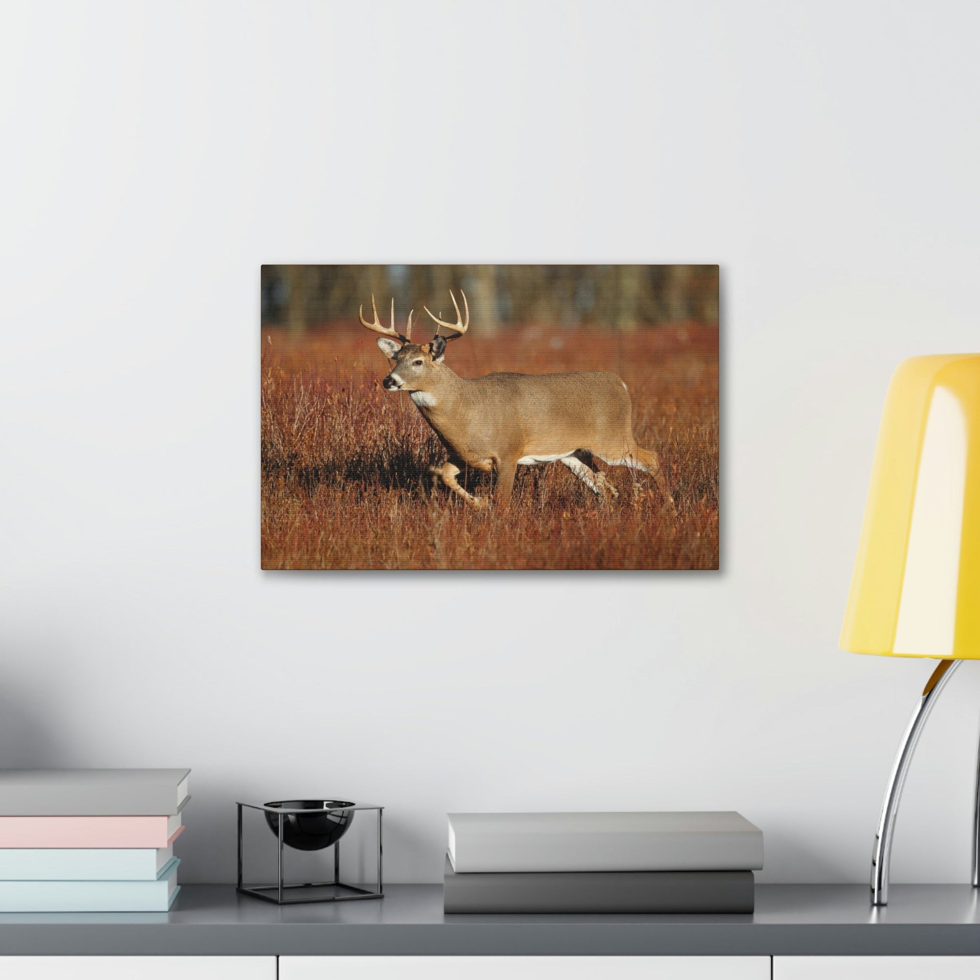 Scripture Walls White Tailed Deer Hunting White Tailed Deer on Hunt Print Animal Wall Art Wildlife Canvas Prints Wall Art Ready to Hang Unframed-Express Your Love Gifts