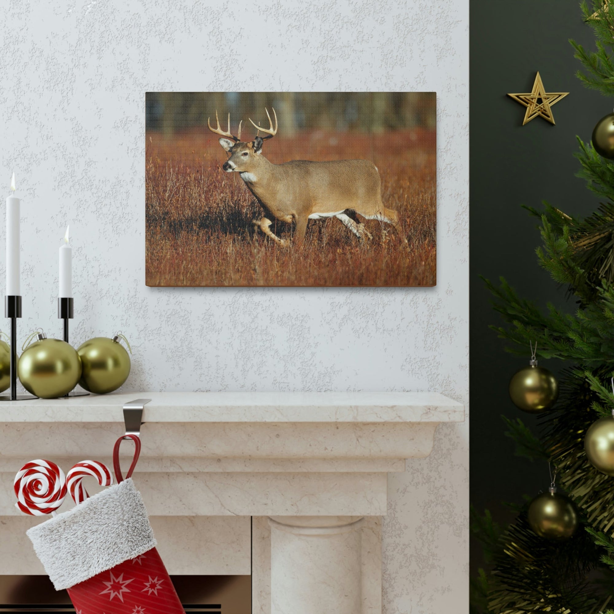 Scripture Walls White Tailed Deer Hunting White Tailed Deer on Hunt Print Animal Wall Art Wildlife Canvas Prints Wall Art Ready to Hang Unframed-Express Your Love Gifts