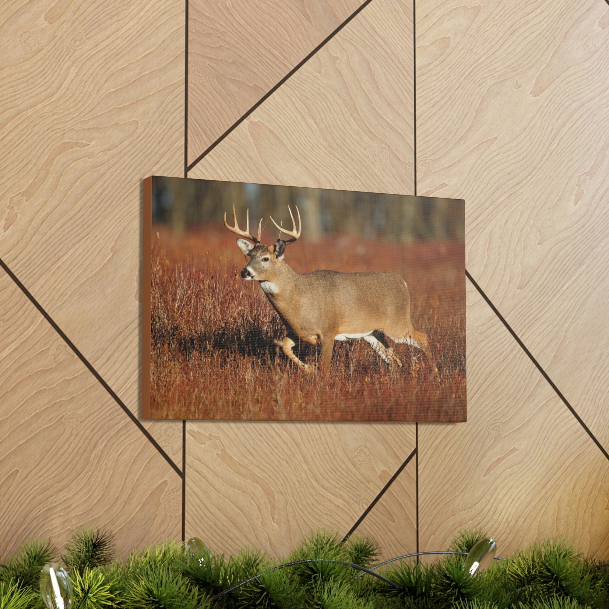 Scripture Walls White Tailed Deer Hunting White Tailed Deer on Hunt Print Animal Wall Art Wildlife Canvas Prints Wall Art Ready to Hang Unframed-Express Your Love Gifts