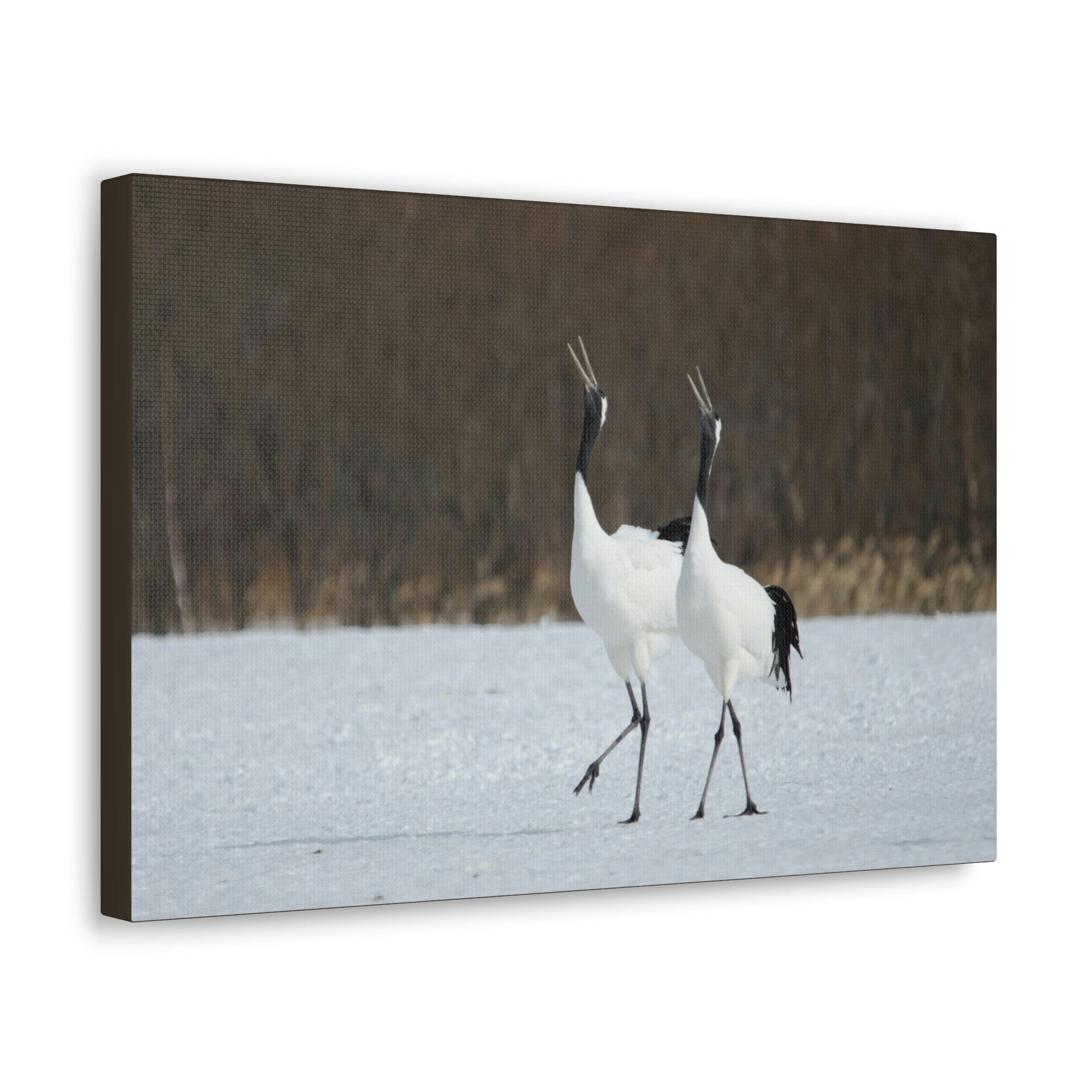 Scripture Walls Whooping Crane Couple Whooping Crane Couple Print Animal Wall Art Wildlife Canvas Prints Wall Art Ready to Hang Unframed-Express Your Love Gifts