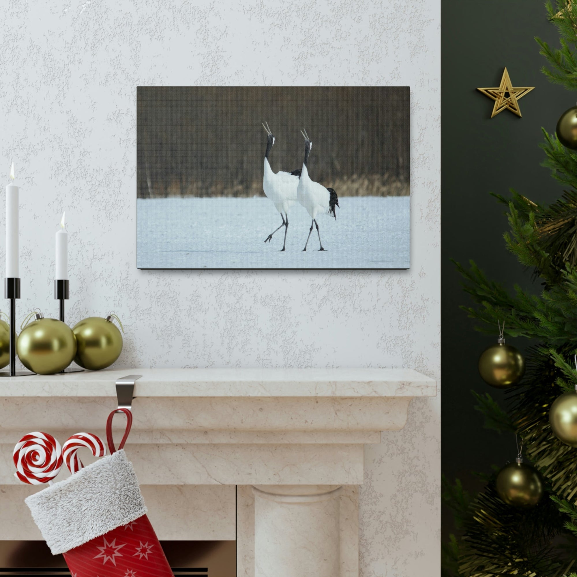 Scripture Walls Whooping Crane Couple Whooping Crane Couple Print Animal Wall Art Wildlife Canvas Prints Wall Art Ready to Hang Unframed-Express Your Love Gifts