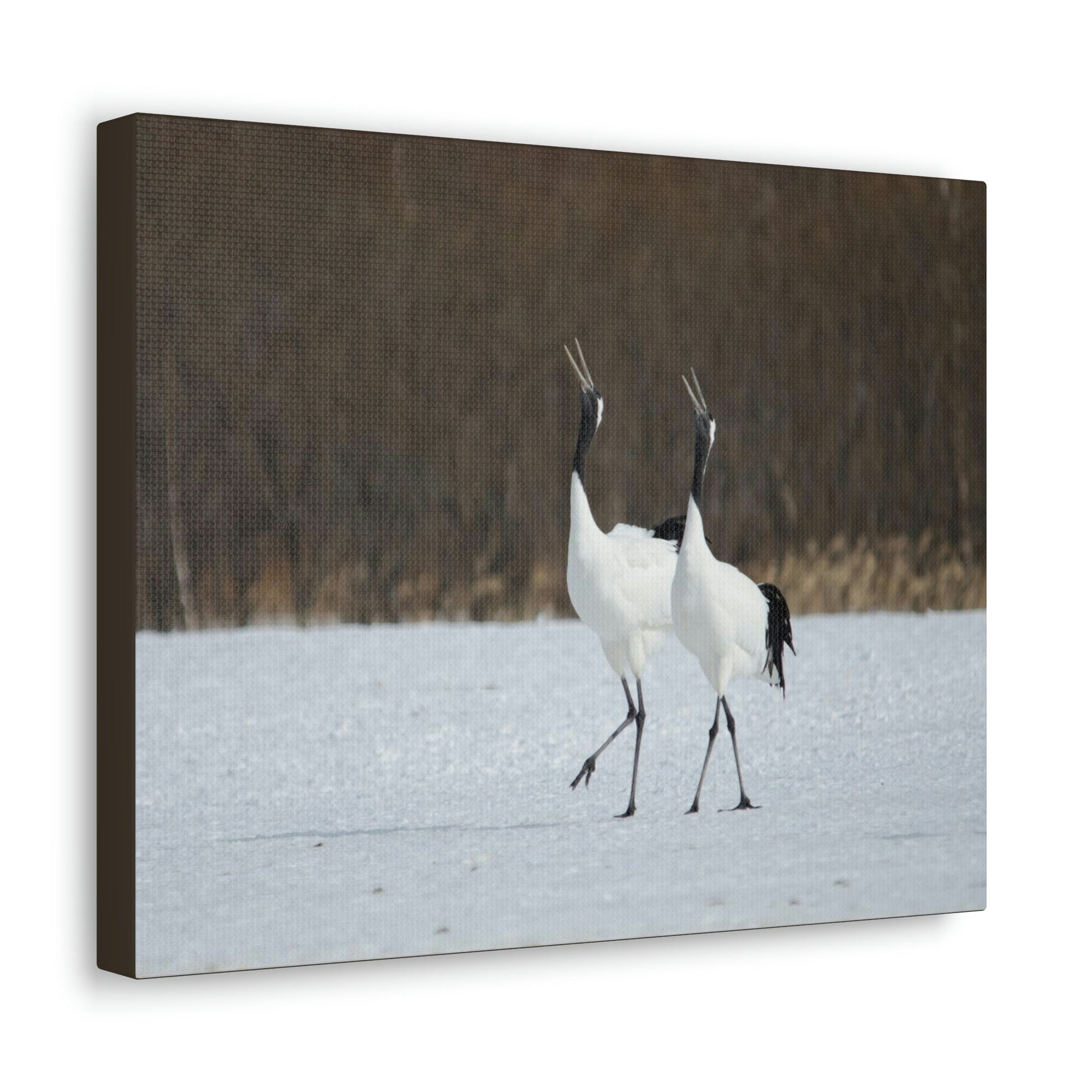 Scripture Walls Whooping Crane Couple Whooping Crane Couple Print Animal Wall Art Wildlife Canvas Prints Wall Art Ready to Hang Unframed-Express Your Love Gifts