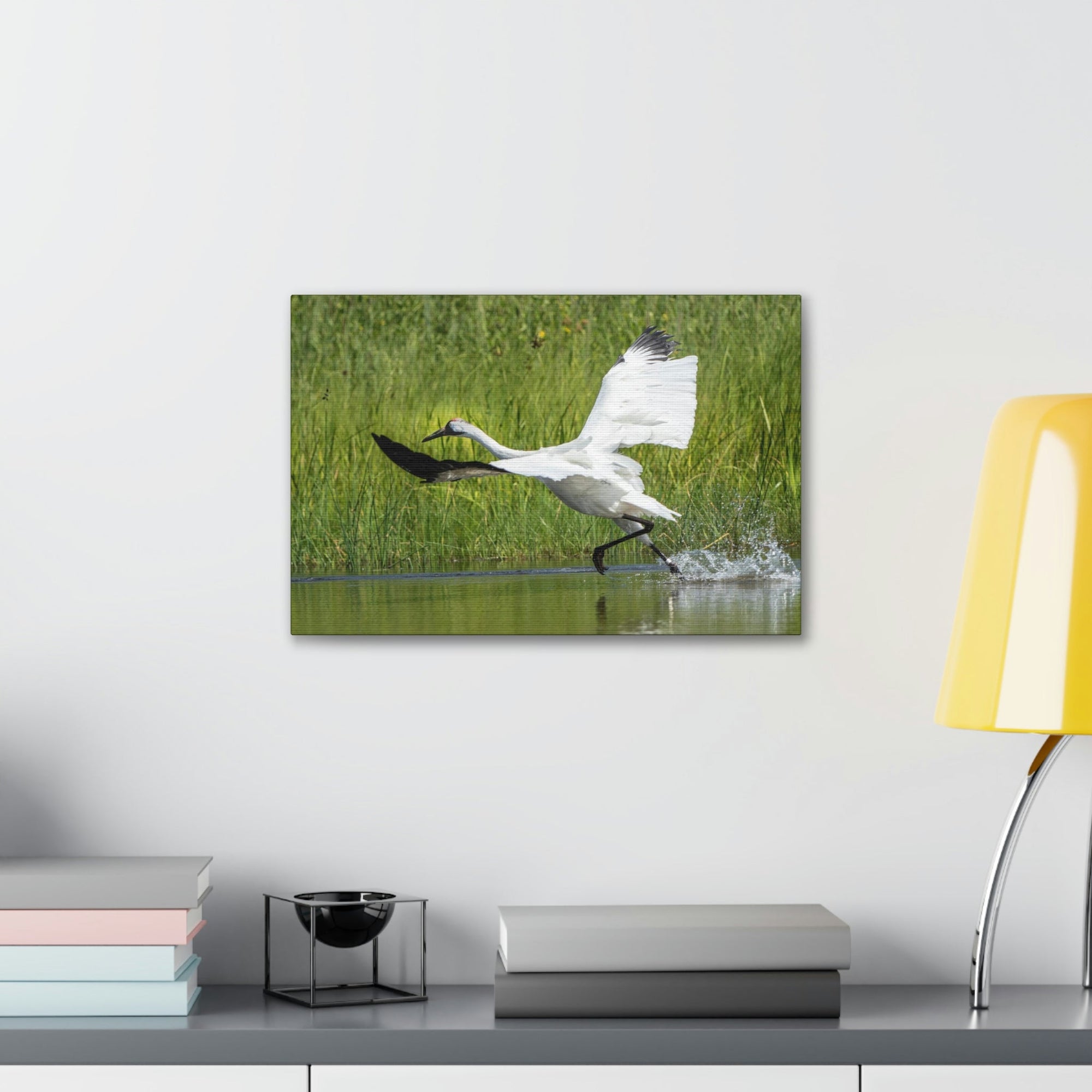 Scripture Walls Whooping Crane Hunting Whooping Crane on Hunt Print Animal Wall Art Wildlife Canvas Prints Wall Art Ready to Hang Unframed-Express Your Love Gifts