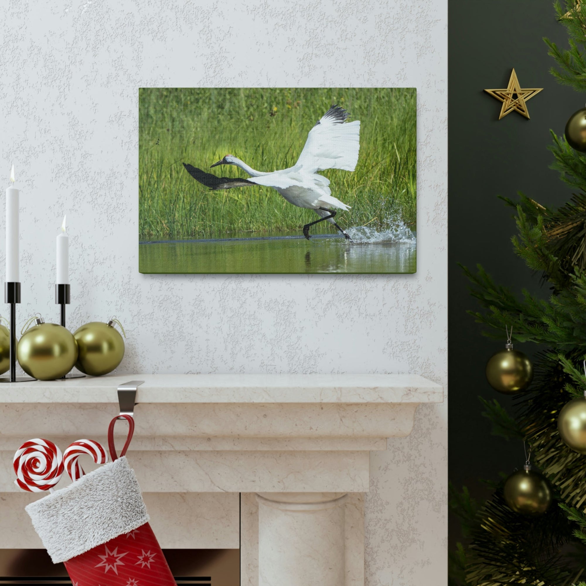 Scripture Walls Whooping Crane Hunting Whooping Crane on Hunt Print Animal Wall Art Wildlife Canvas Prints Wall Art Ready to Hang Unframed-Express Your Love Gifts