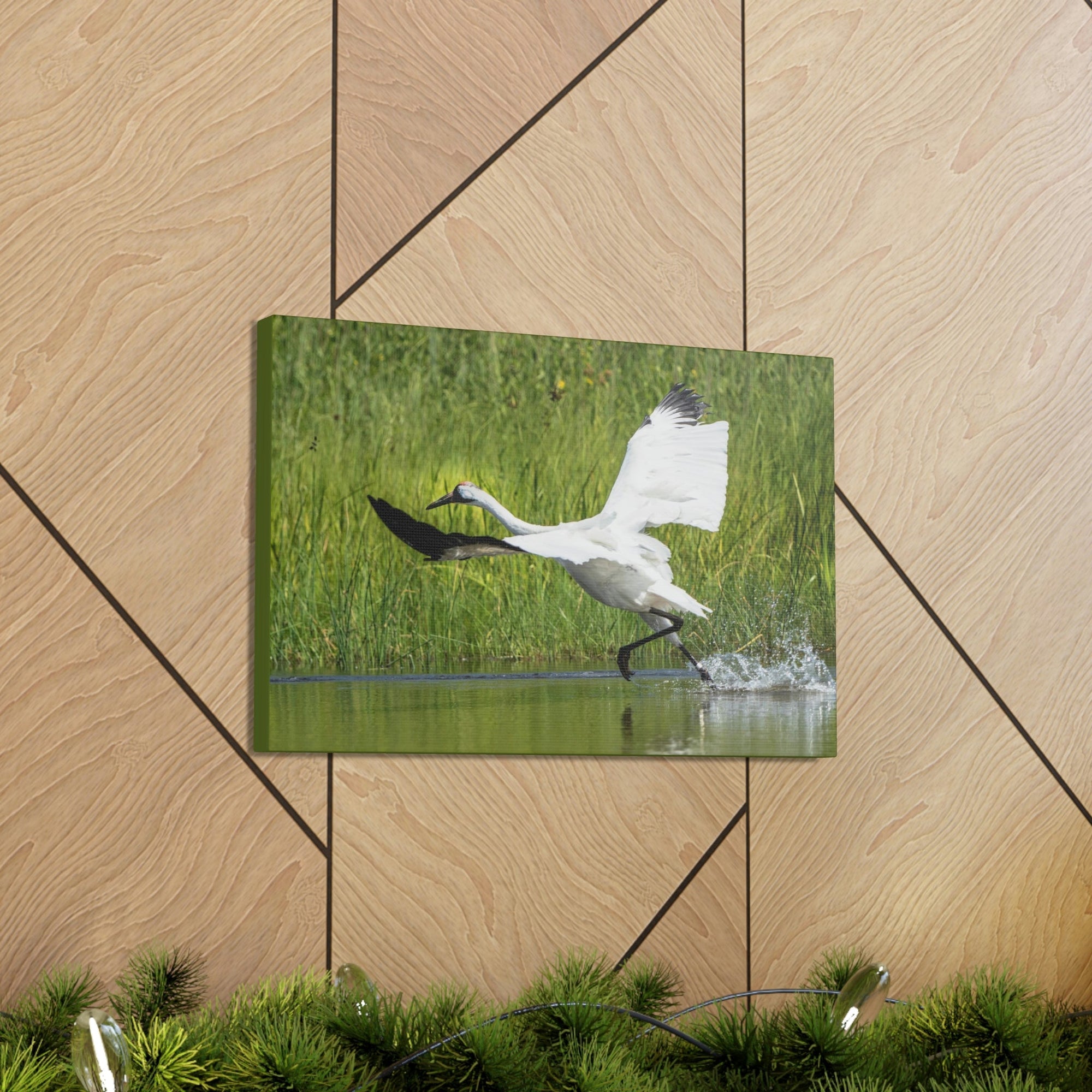 Scripture Walls Whooping Crane Hunting Whooping Crane on Hunt Print Animal Wall Art Wildlife Canvas Prints Wall Art Ready to Hang Unframed-Express Your Love Gifts