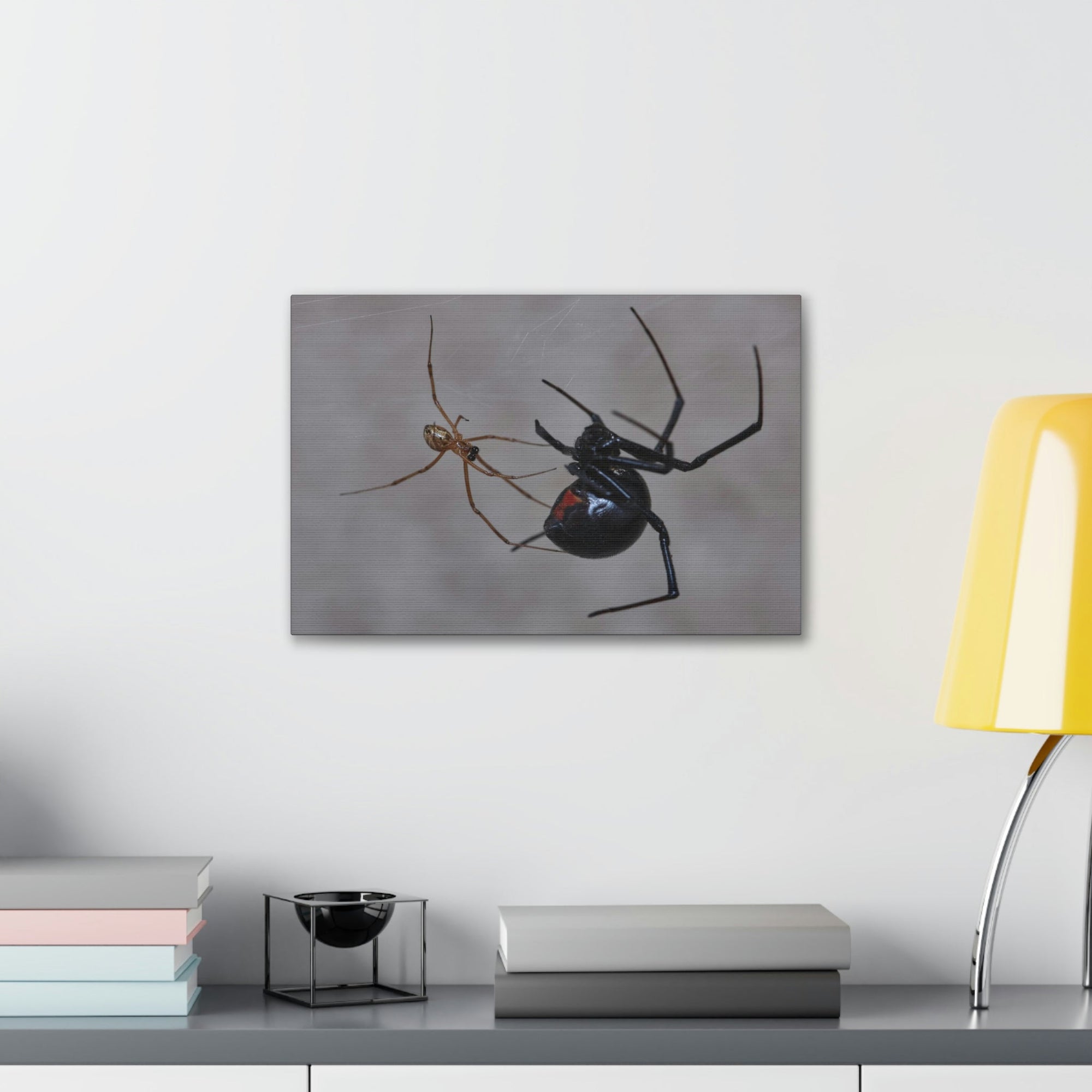 Scripture Walls Widow Spider Couple Widow Spider Couple Print Animal Wall Art Wildlife Canvas Prints Wall Art Ready to Hang Unframed-Express Your Love Gifts