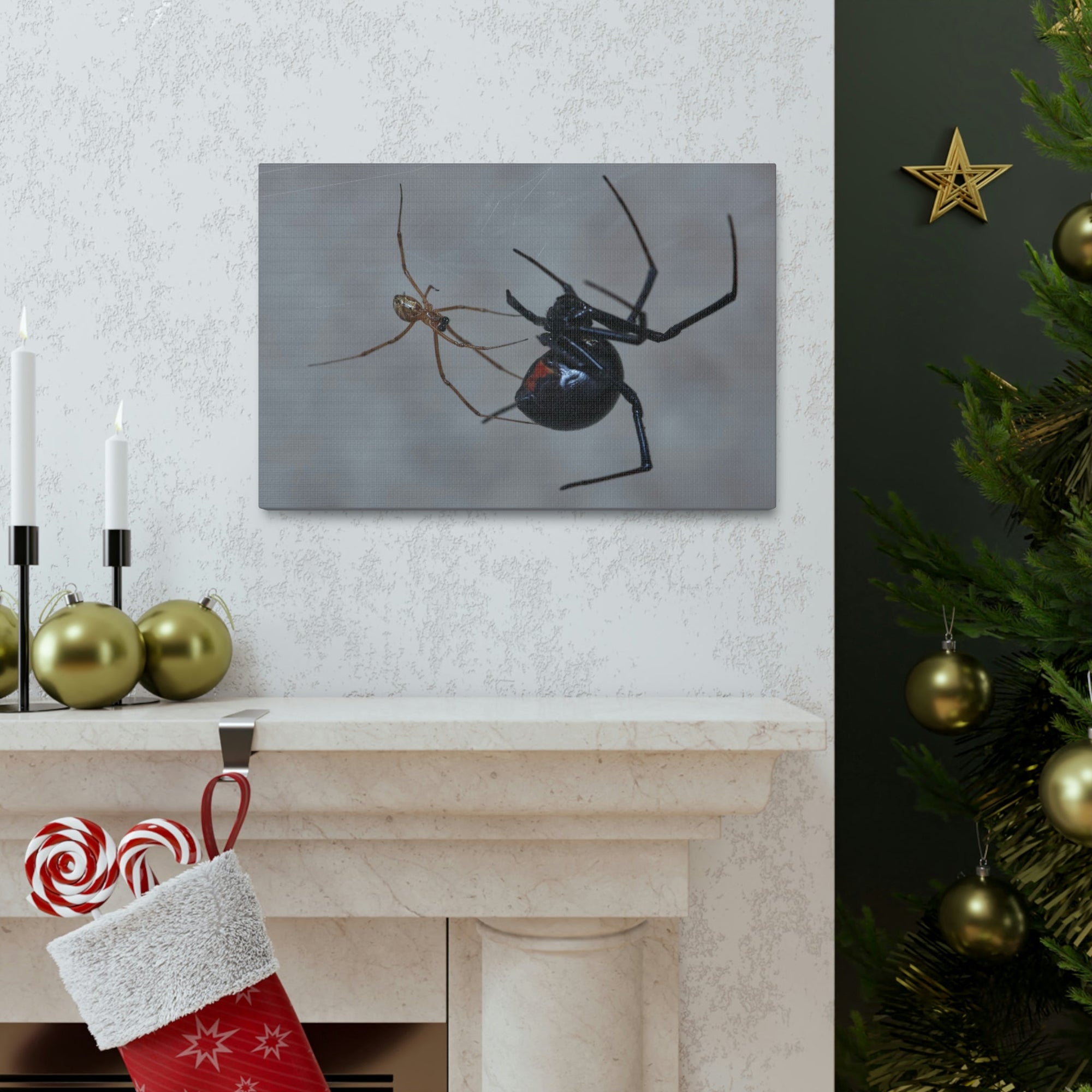 Scripture Walls Widow Spider Couple Widow Spider Couple Print Animal Wall Art Wildlife Canvas Prints Wall Art Ready to Hang Unframed-Express Your Love Gifts