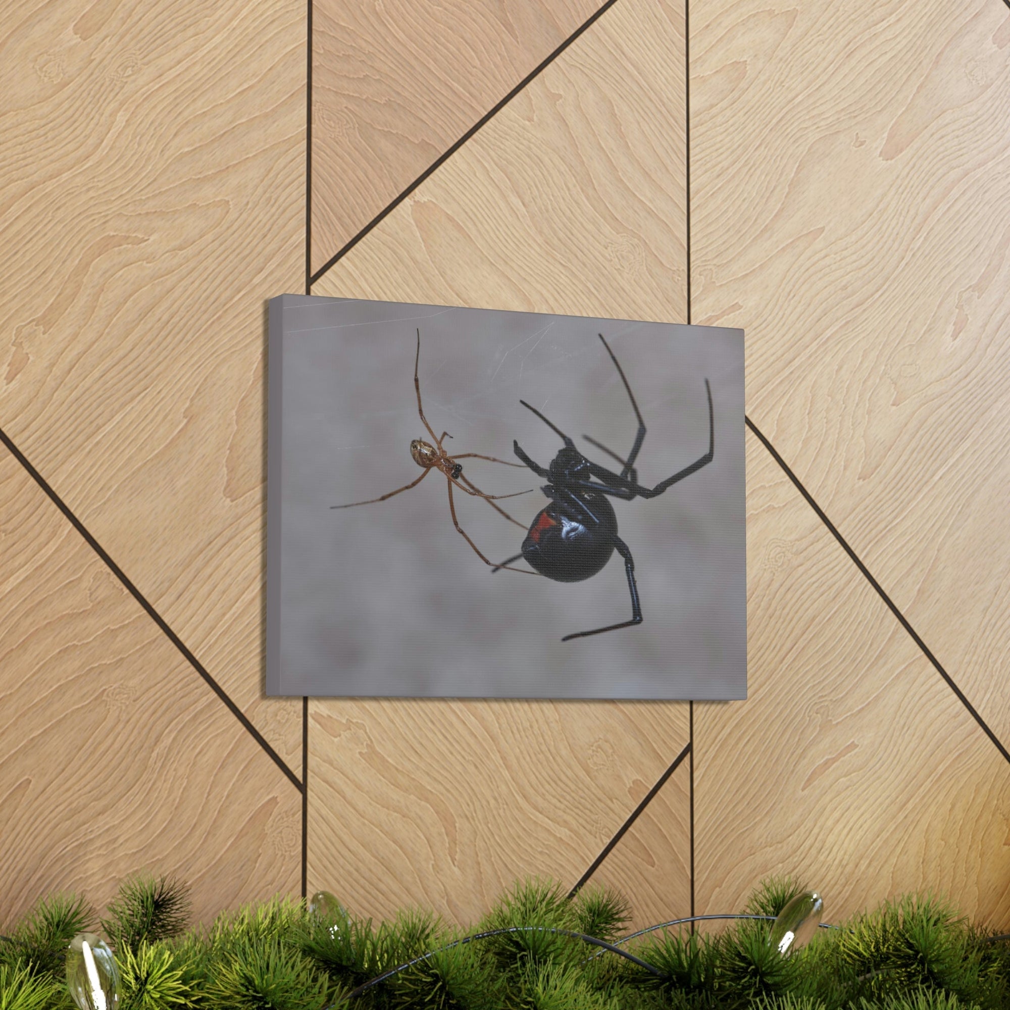 Scripture Walls Widow Spider Couple Widow Spider Couple Print Animal Wall Art Wildlife Canvas Prints Wall Art Ready to Hang Unframed-Express Your Love Gifts