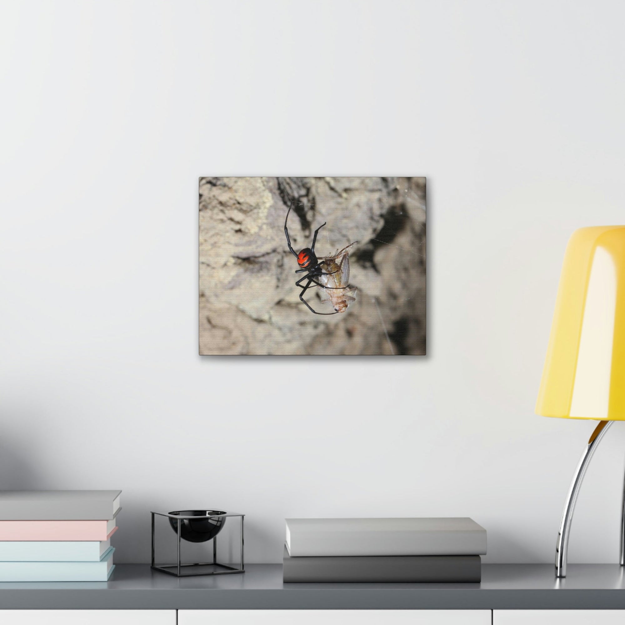 Scripture Walls Widow Spider Hunting Widow Spider on Hunt Print Animal Wall Art Wildlife Canvas Prints Wall Art Ready to Hang Unframed-Express Your Love Gifts