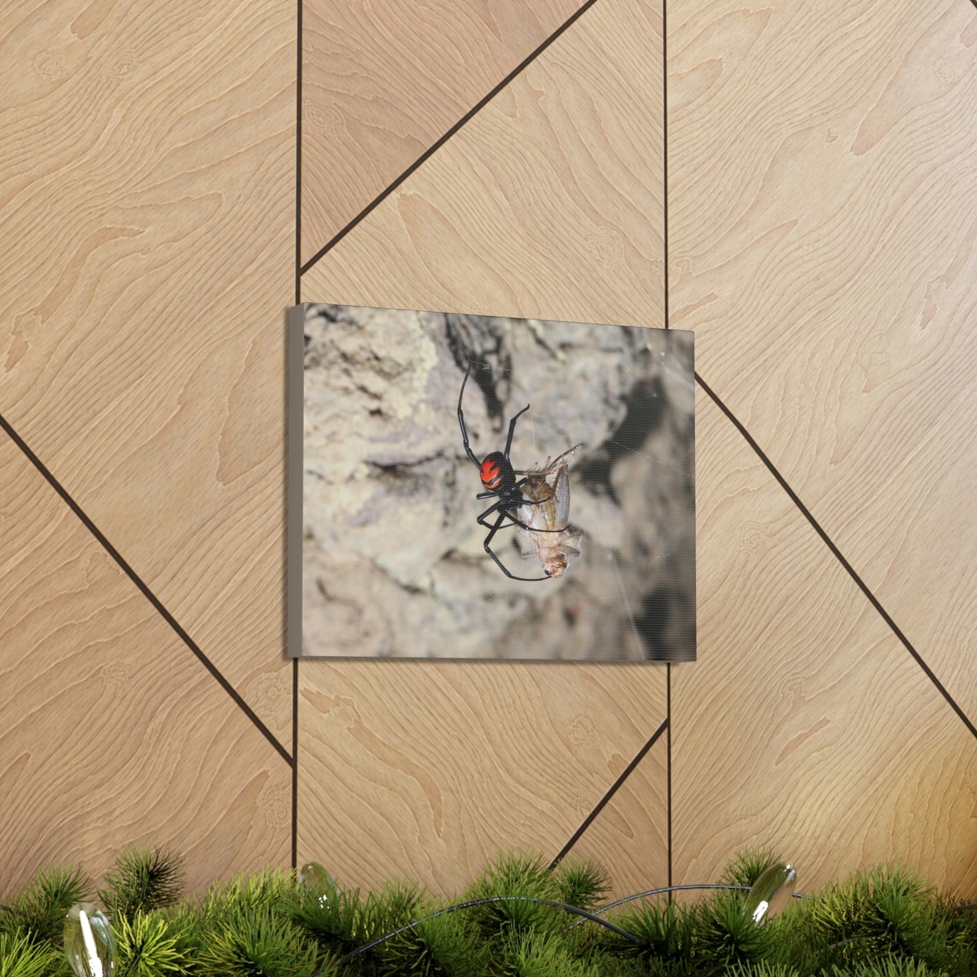 Scripture Walls Widow Spider Hunting Widow Spider on Hunt Print Animal Wall Art Wildlife Canvas Prints Wall Art Ready to Hang Unframed-Express Your Love Gifts