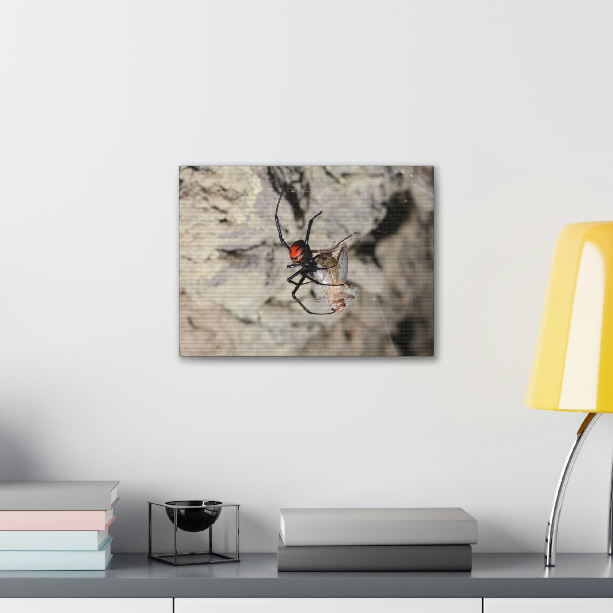 Scripture Walls Widow Spider Hunting Widow Spider on Hunt Print Animal Wall Art Wildlife Canvas Prints Wall Art Ready to Hang Unframed-Express Your Love Gifts