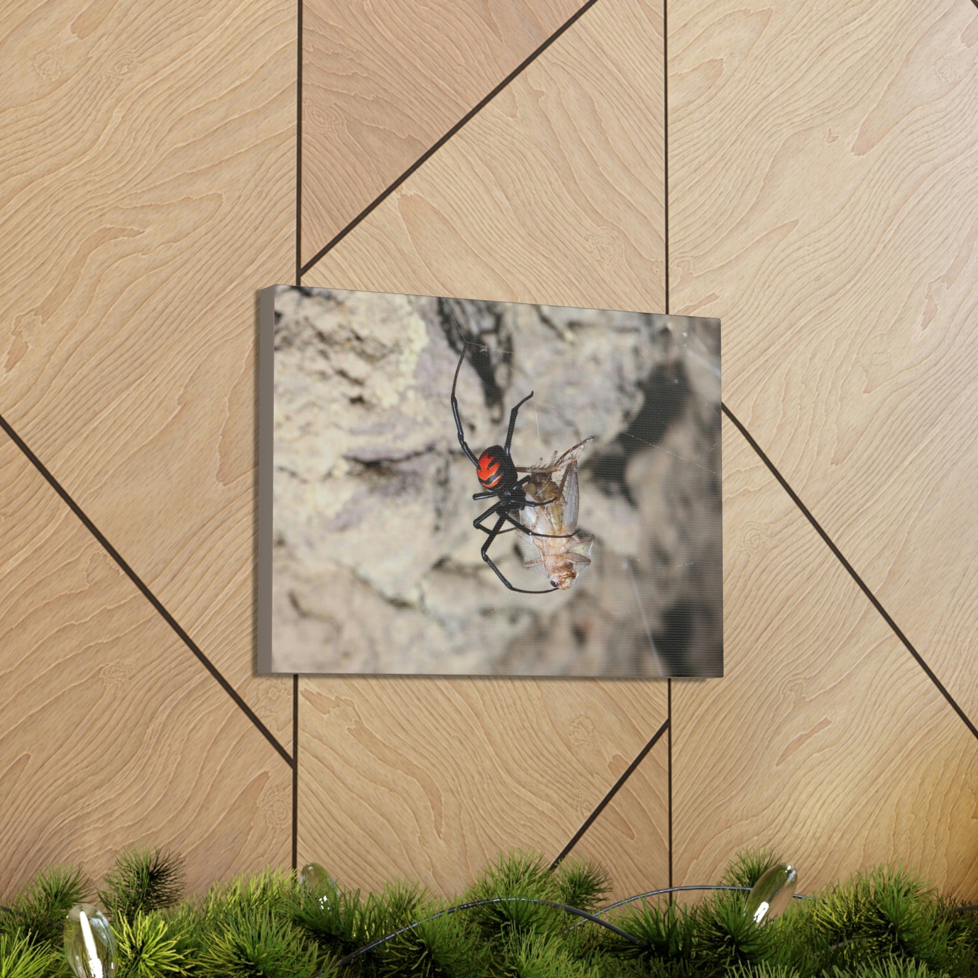 Scripture Walls Widow Spider Hunting Widow Spider on Hunt Print Animal Wall Art Wildlife Canvas Prints Wall Art Ready to Hang Unframed-Express Your Love Gifts