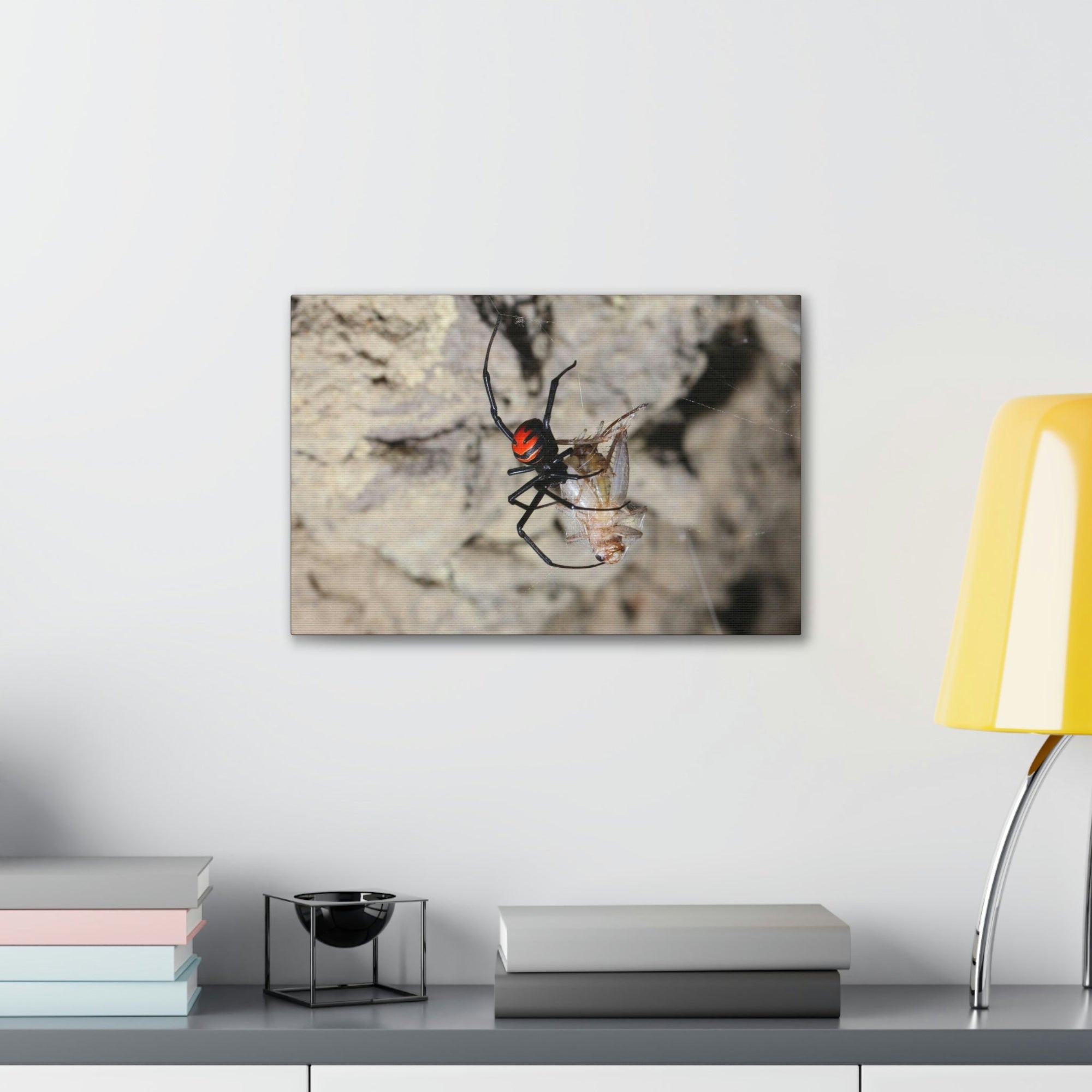 Scripture Walls Widow Spider Hunting Widow Spider on Hunt Print Animal Wall Art Wildlife Canvas Prints Wall Art Ready to Hang Unframed-Express Your Love Gifts