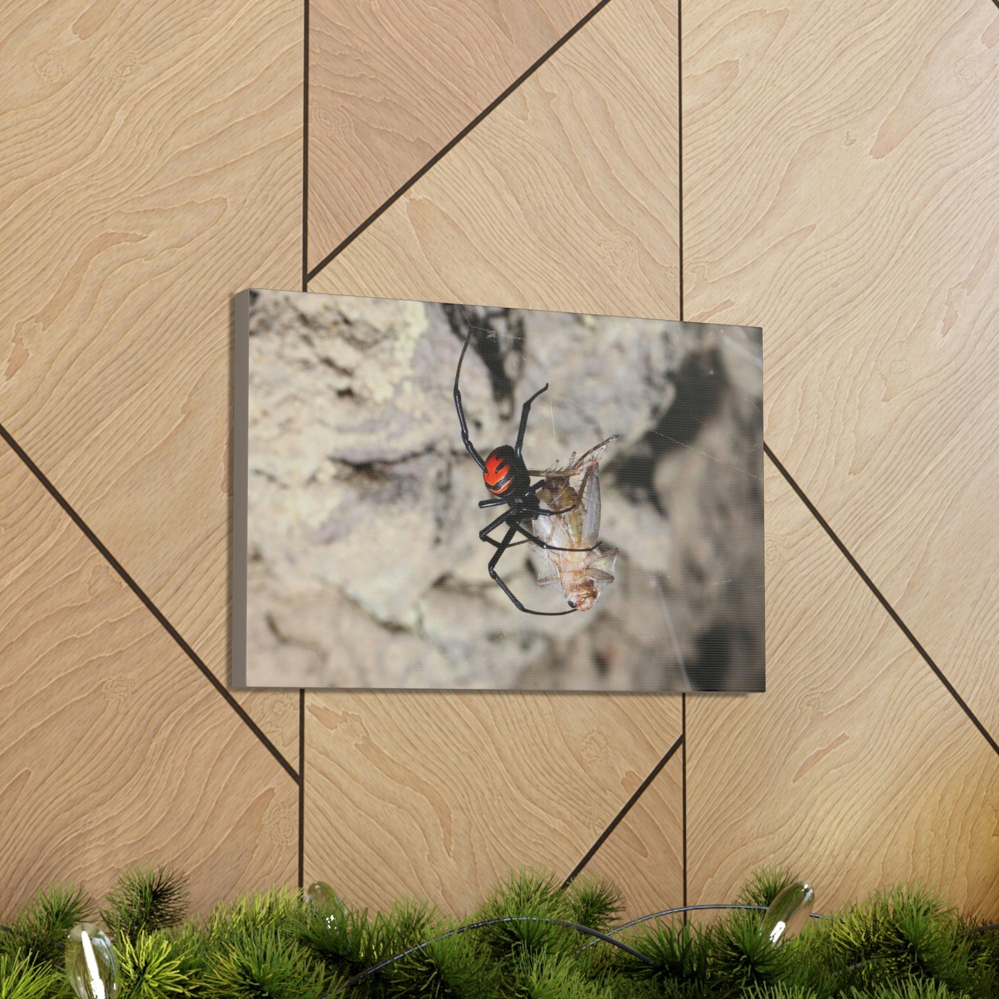 Scripture Walls Widow Spider Hunting Widow Spider on Hunt Print Animal Wall Art Wildlife Canvas Prints Wall Art Ready to Hang Unframed-Express Your Love Gifts