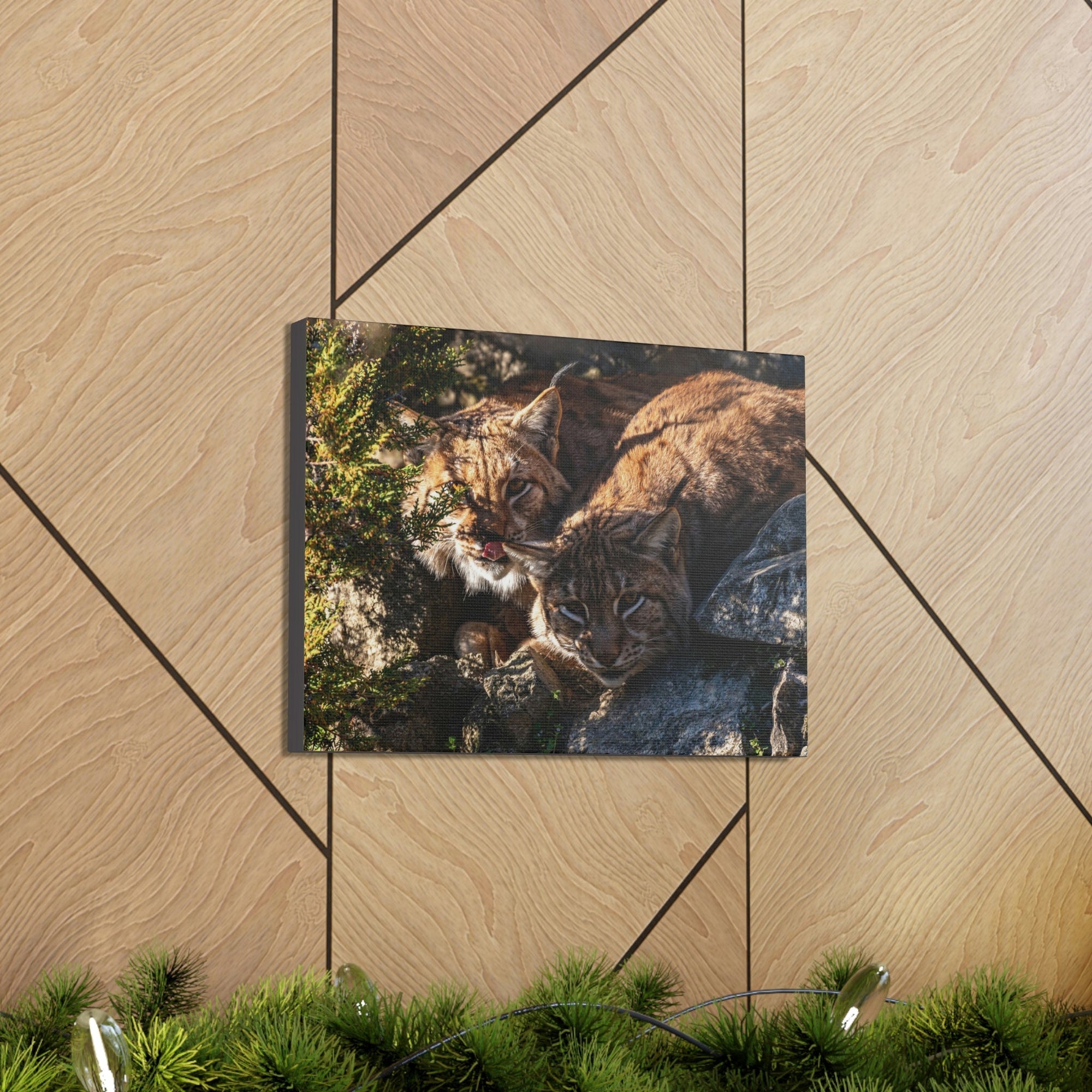 Scripture Walls Wildcat Couple Wildcat Couple Print Animal Wall Art Wildlife Canvas Prints Wall Art Ready to Hang Unframed-Express Your Love Gifts