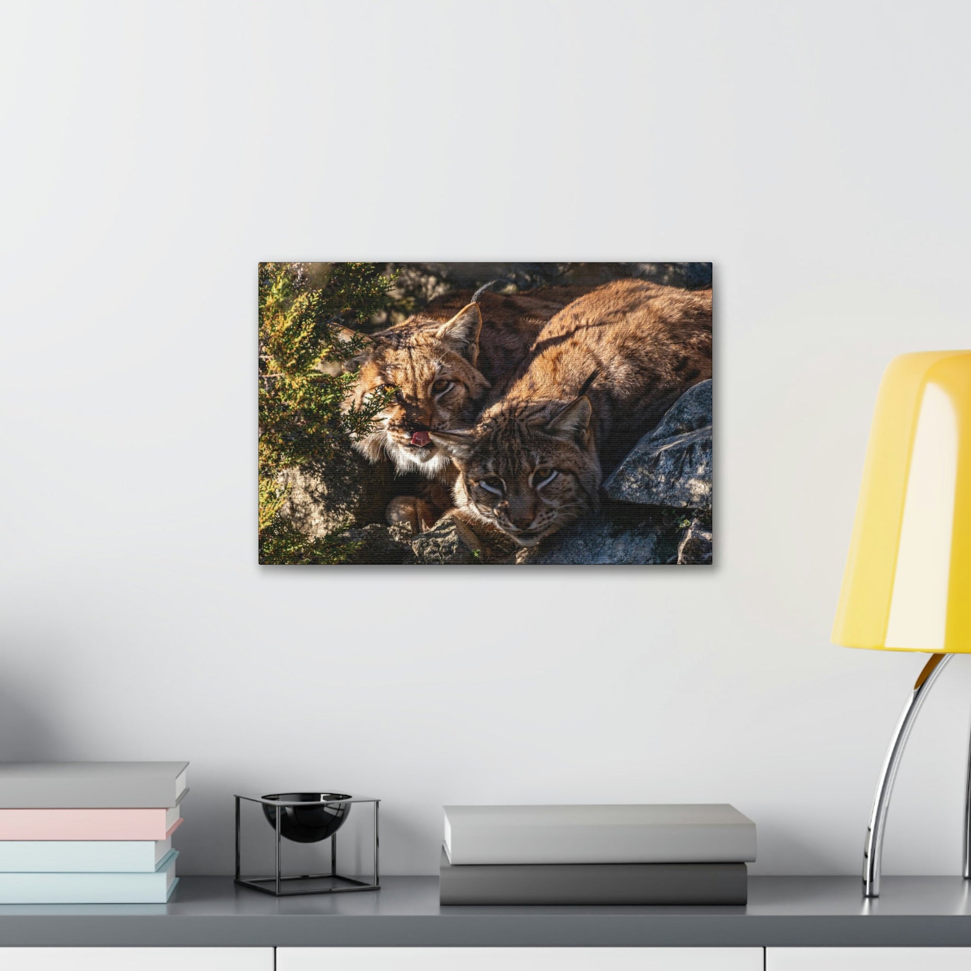 Scripture Walls Wildcat Couple Wildcat Couple Print Animal Wall Art Wildlife Canvas Prints Wall Art Ready to Hang Unframed-Express Your Love Gifts