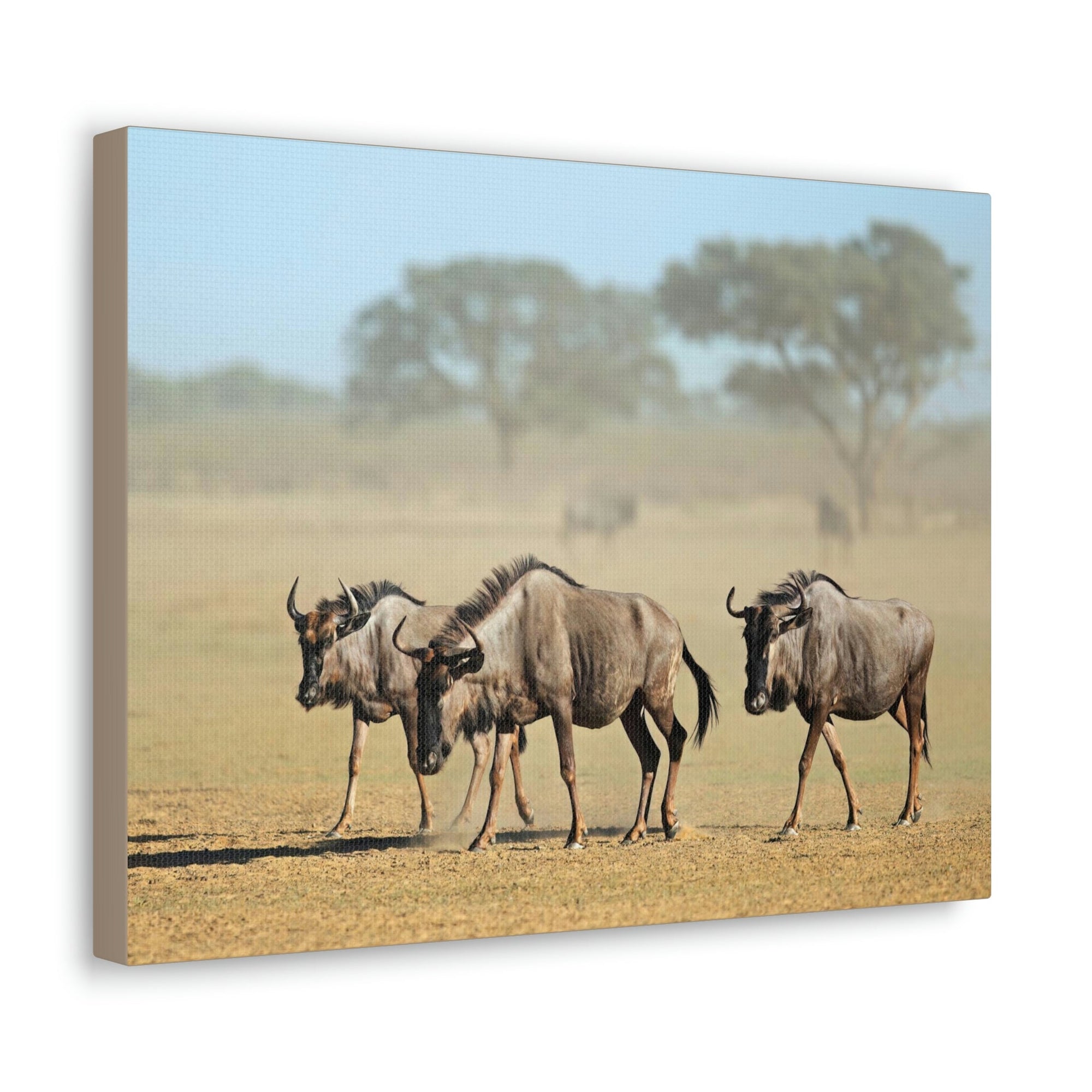 Scripture Walls Wildebeest Group Wildebeest Troop Print Animal Wall Art Wildlife Canvas Prints Wall Art Ready to Hang Unframed-Express Your Love Gifts