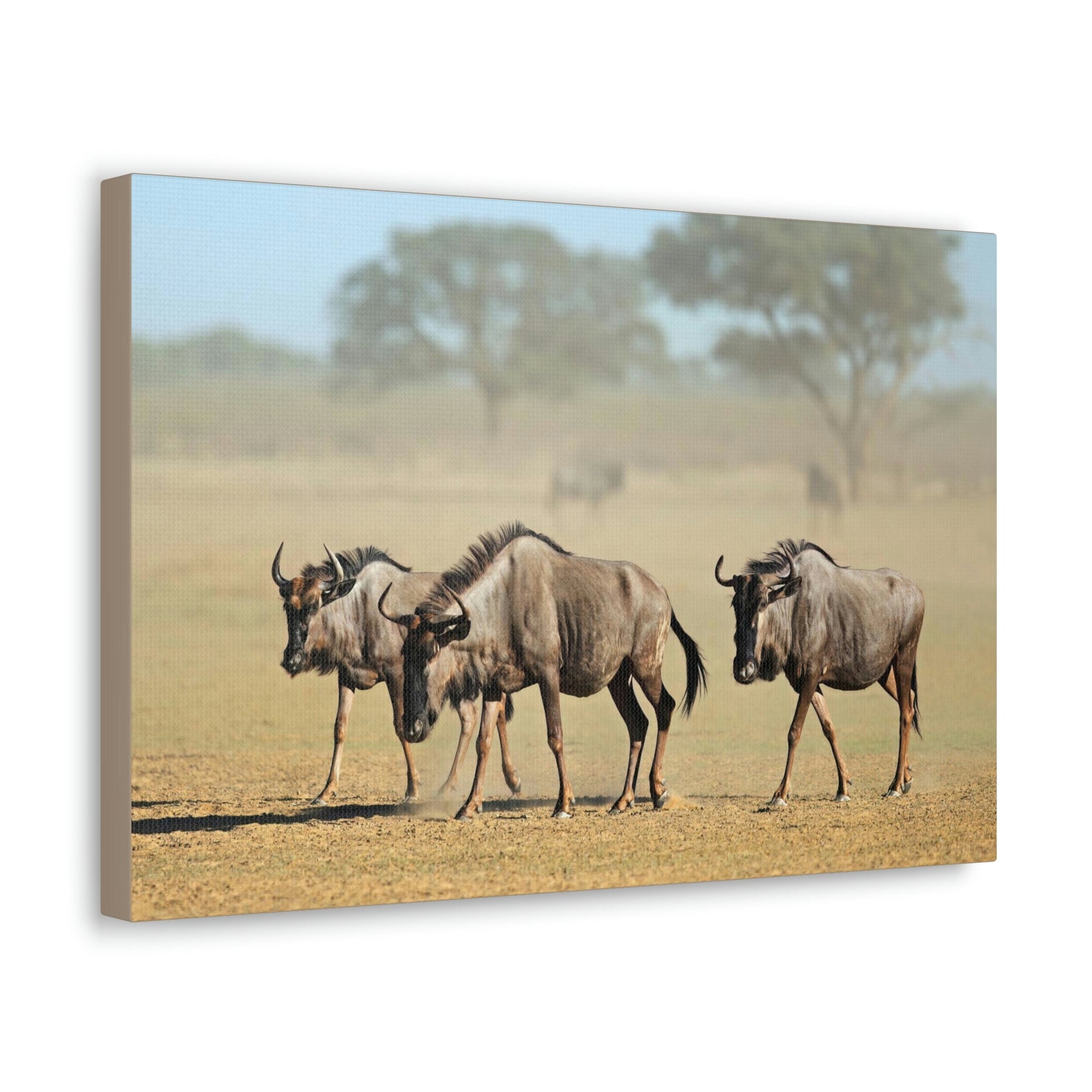 Scripture Walls Wildebeest Group Wildebeest Troop Print Animal Wall Art Wildlife Canvas Prints Wall Art Ready to Hang Unframed-Express Your Love Gifts