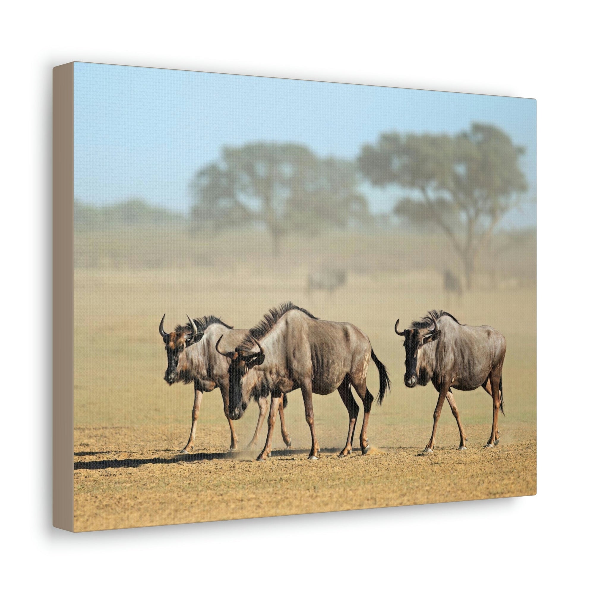 Scripture Walls Wildebeest Group Wildebeest Troop Print Animal Wall Art Wildlife Canvas Prints Wall Art Ready to Hang Unframed-Express Your Love Gifts